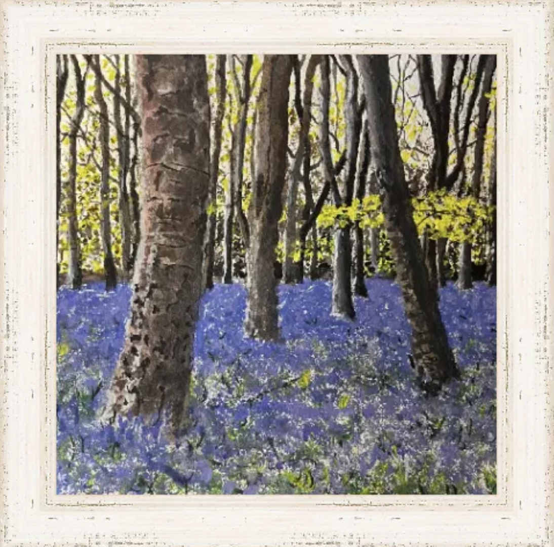 Bluebells