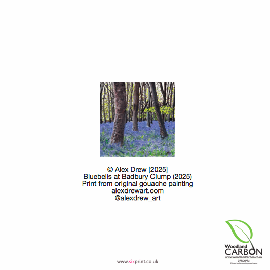 Bluebells at Badbury Clump, Single Card