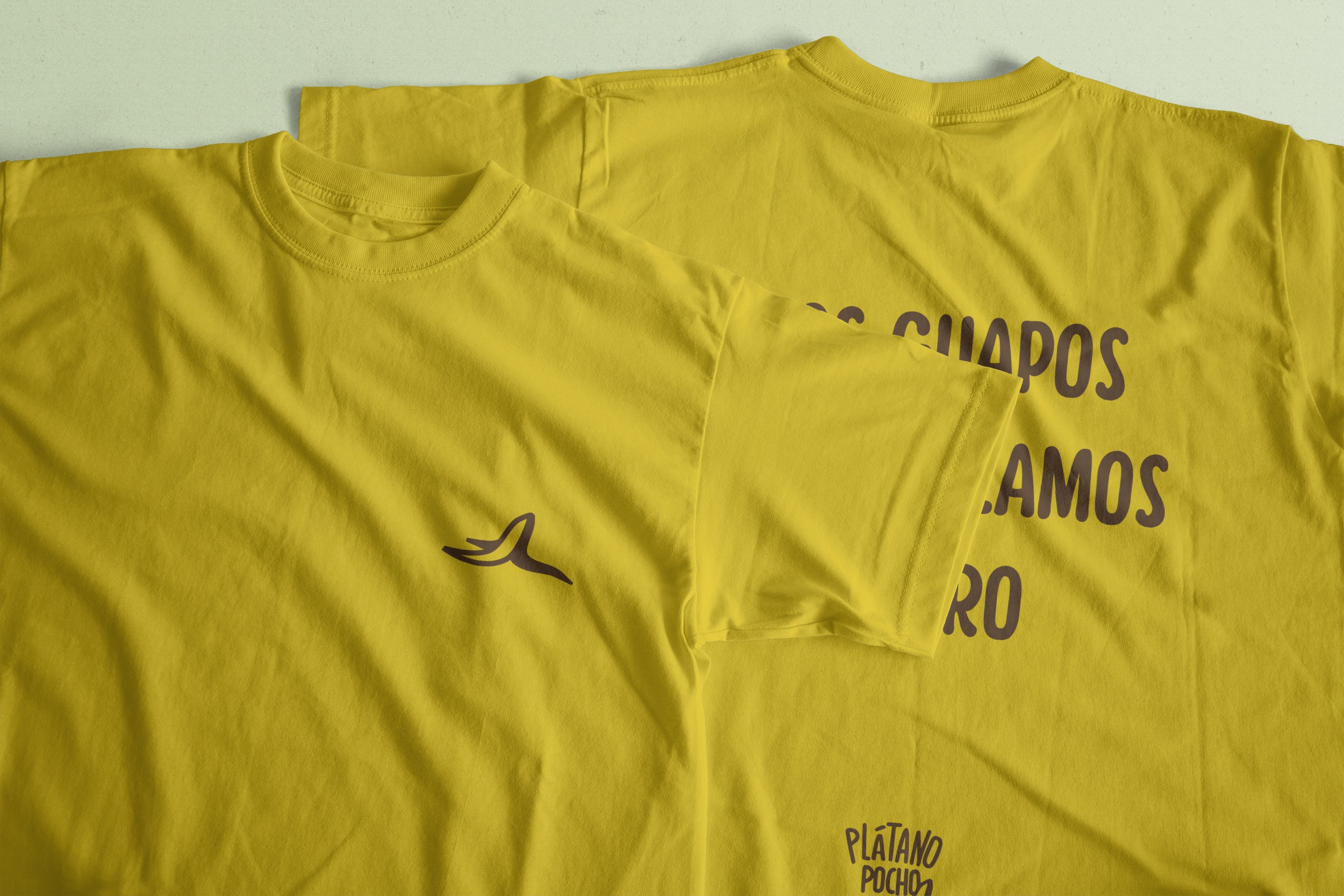 Camiseta guapos