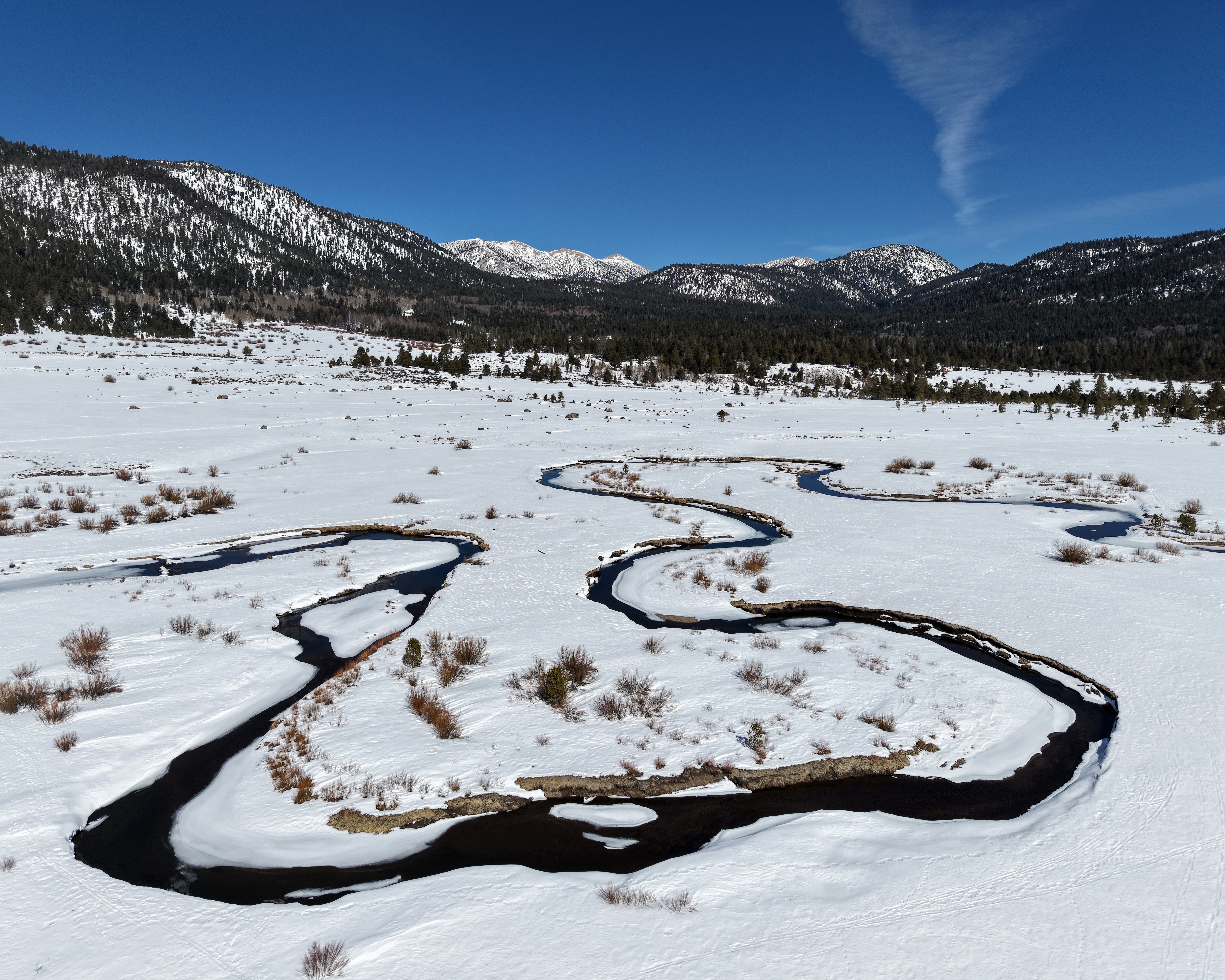 Winter Mountain Landscape