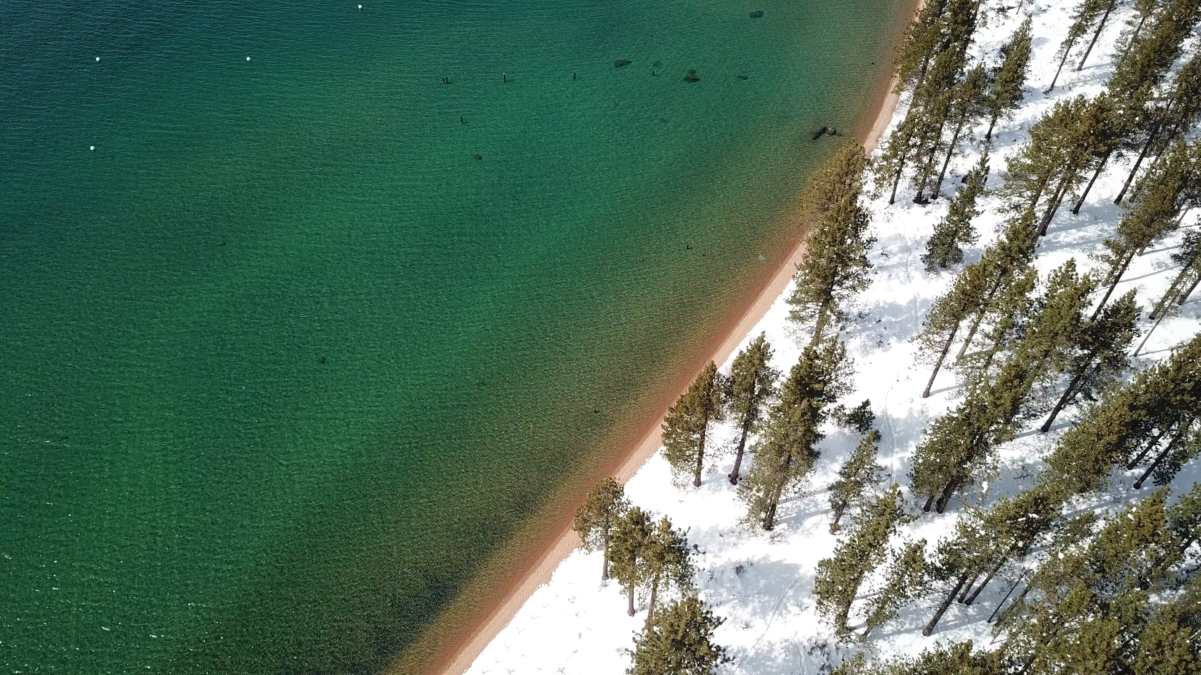 Lake Tahoe Shoreline