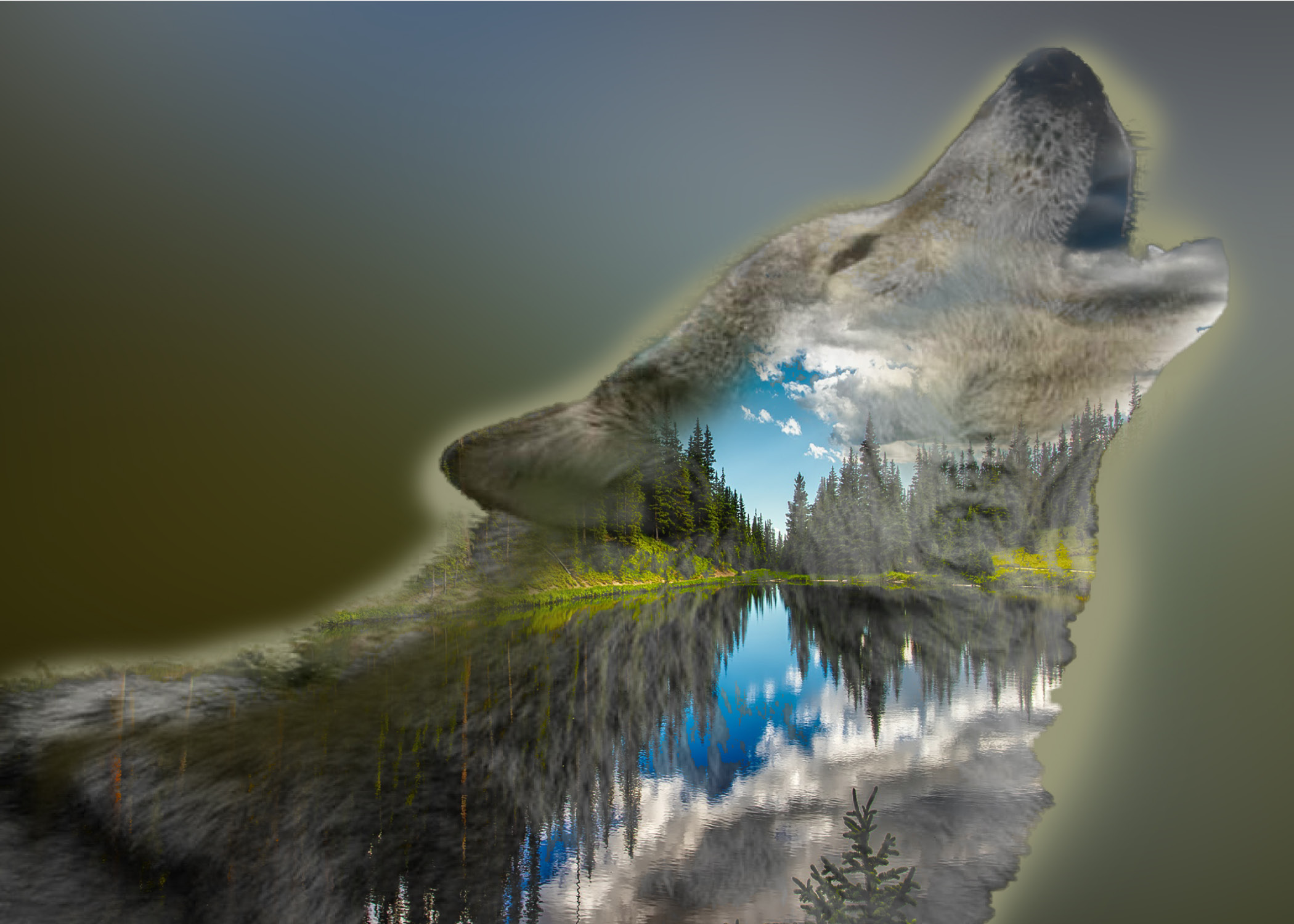 The Wolf - Calling the Pack