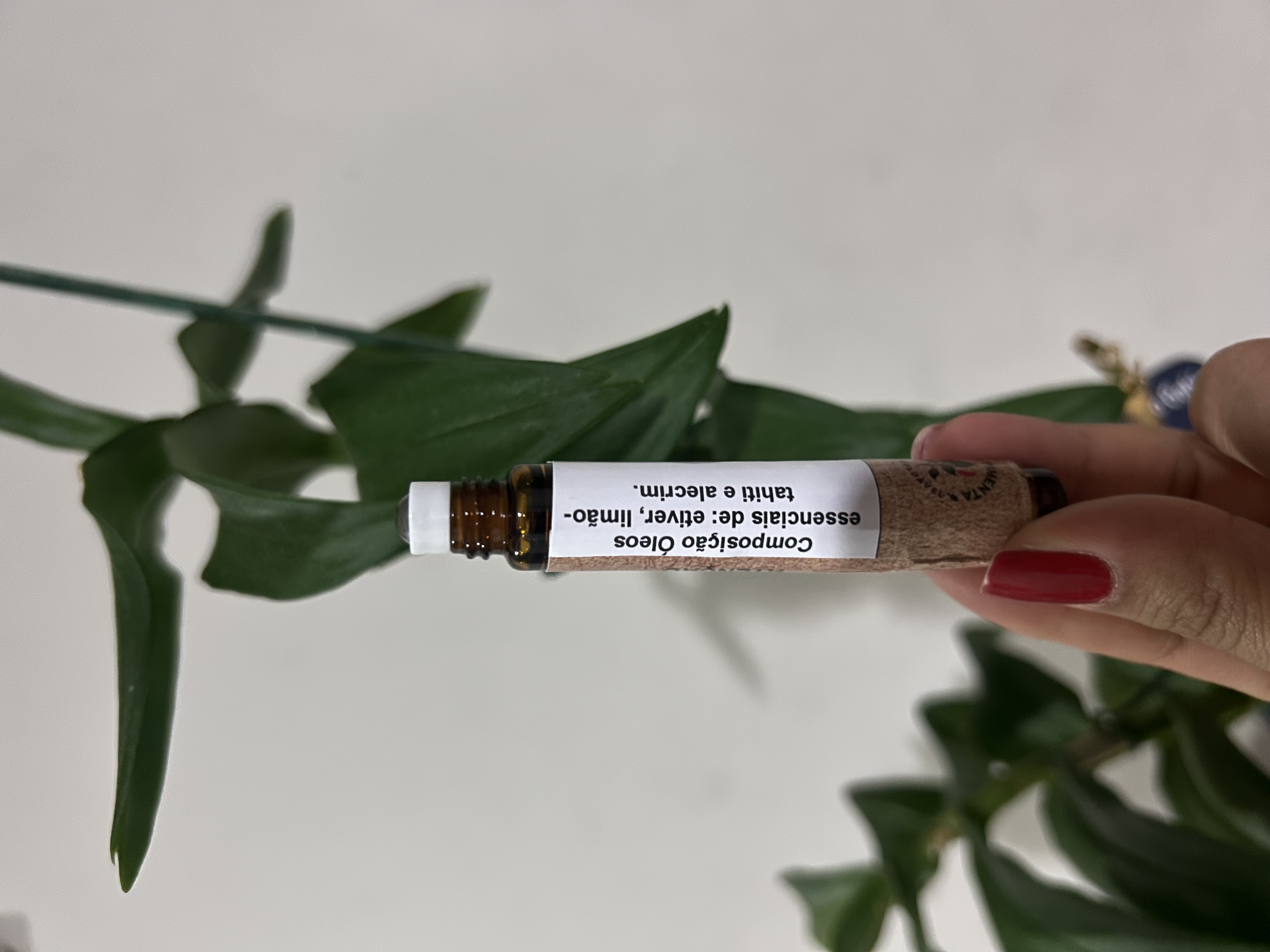 Blend Roll-on Foco e Atenção, 10 ml.