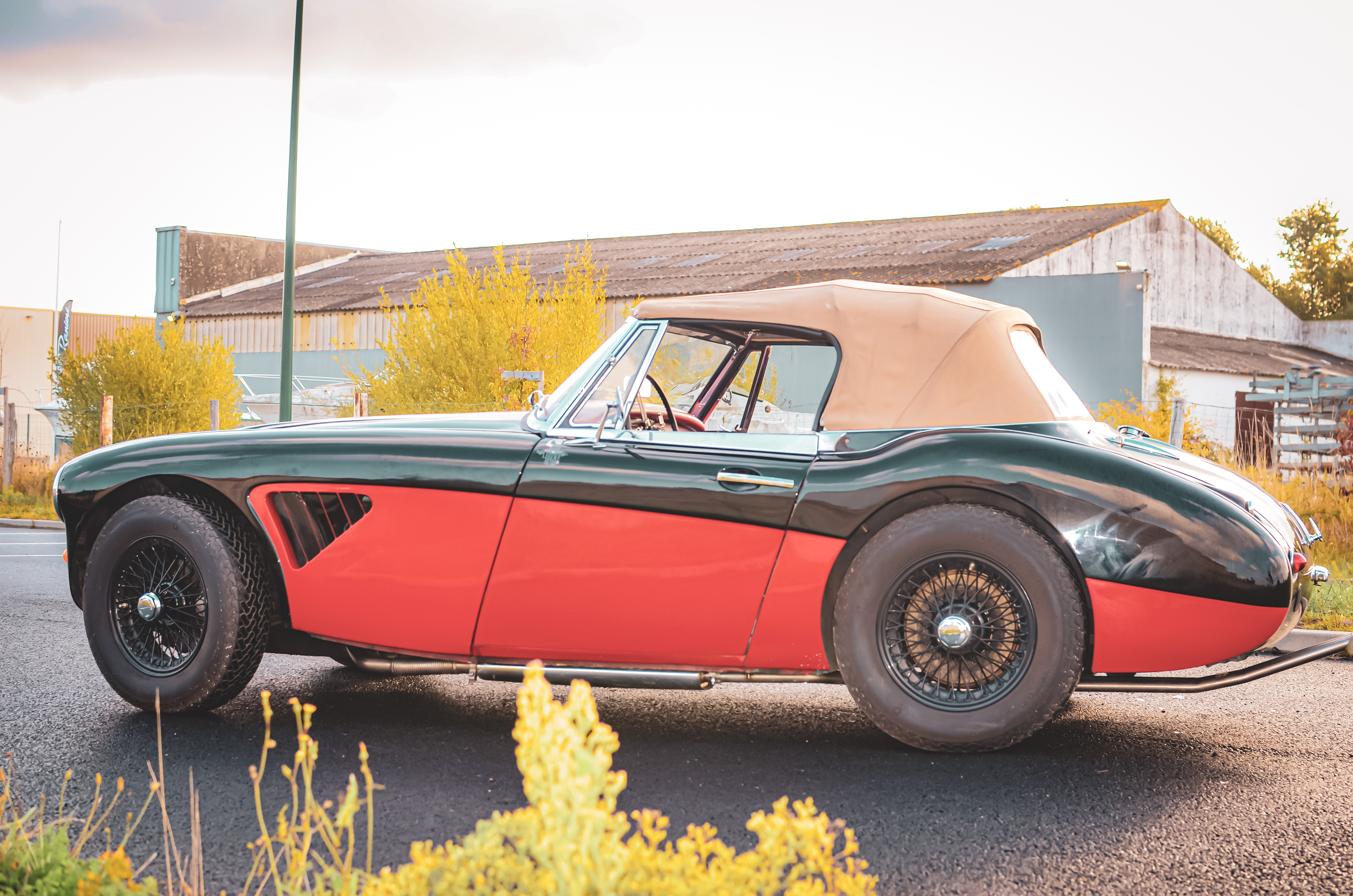 Austin Healey 