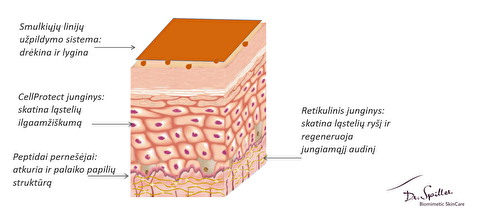 CELLTRESOR INTENSE REBUILDING Cream / Intensyvus prabangus naujos kartos atstatatomasis kremas, 50ml
