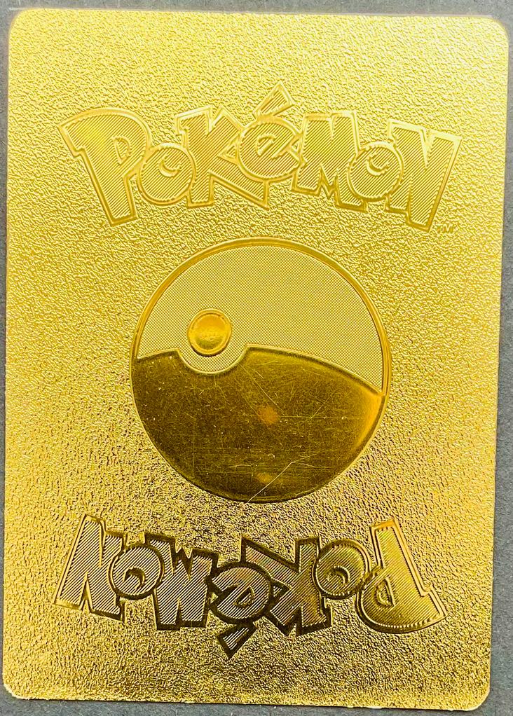 Pikachu Cosplay Mega Charizard