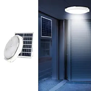 SOLAR CEILING LIGHT