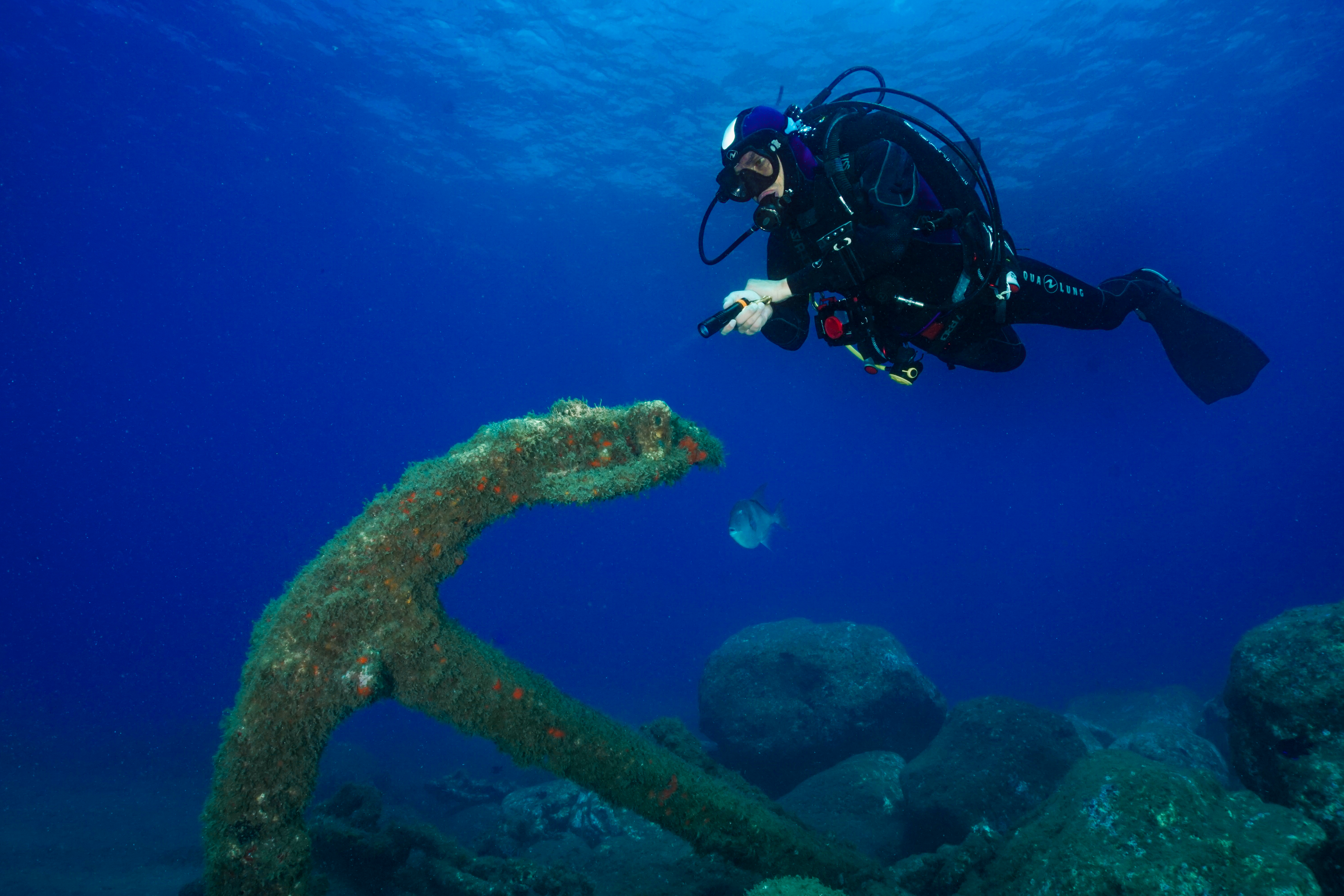 Dive packages