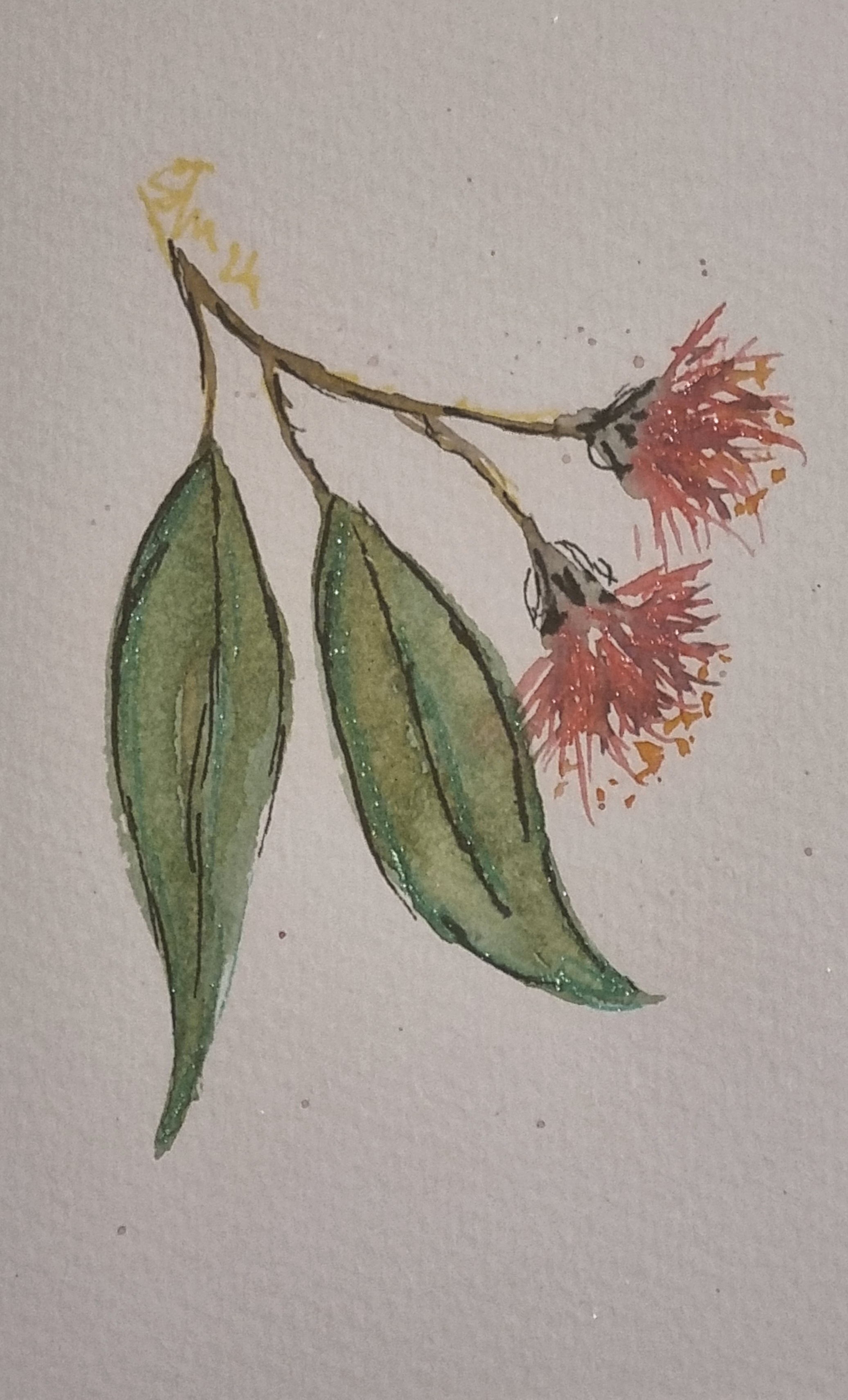 NATIVE FLOWERS - Beginner Watercolour Class