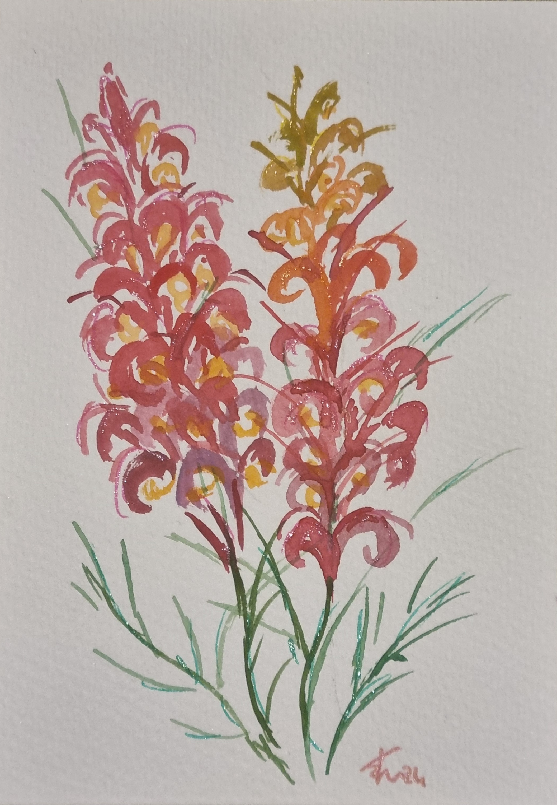 NATIVE FLOWERS - Beginner Watercolour Class