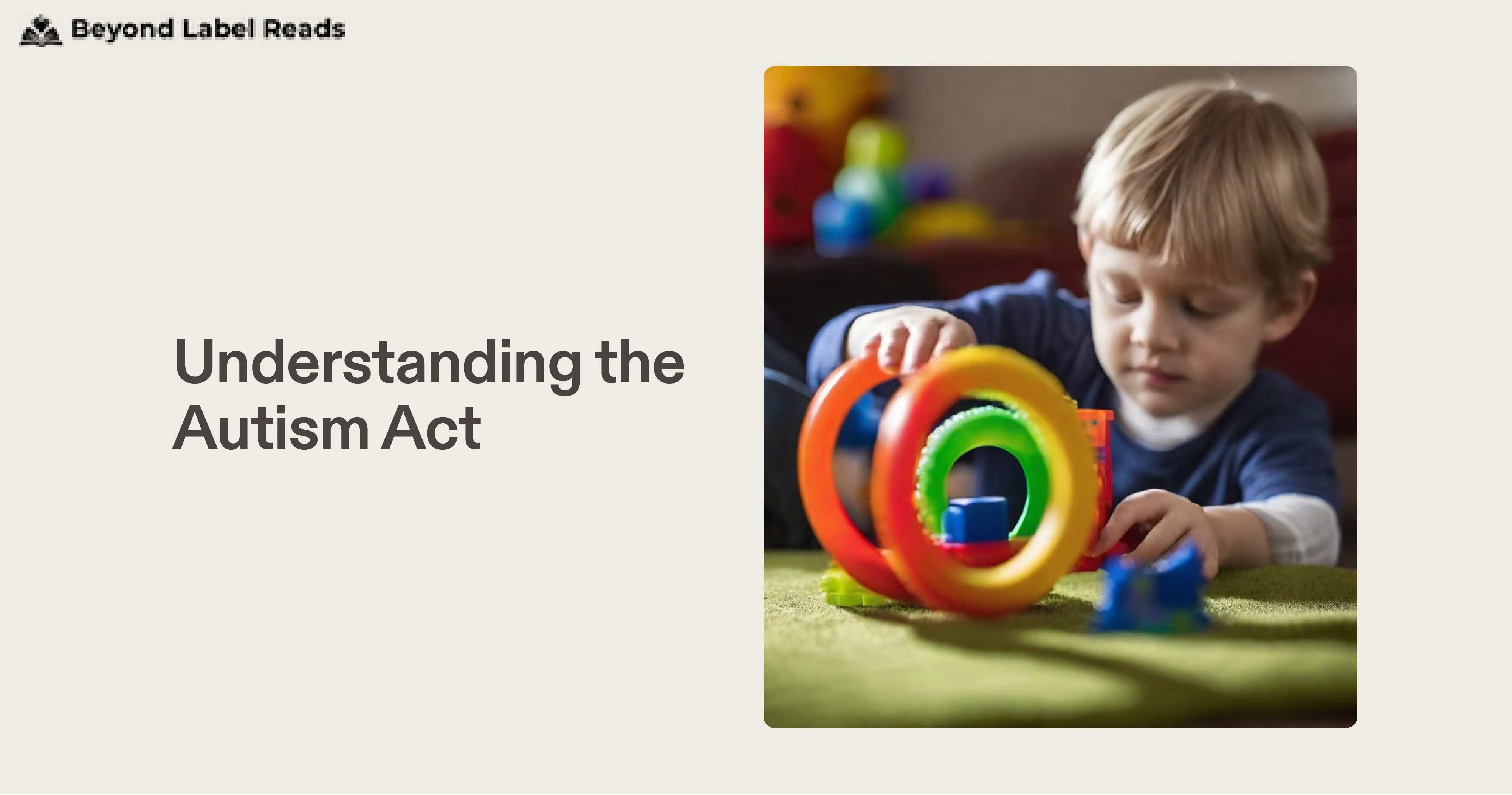 Understanding the Autism Act