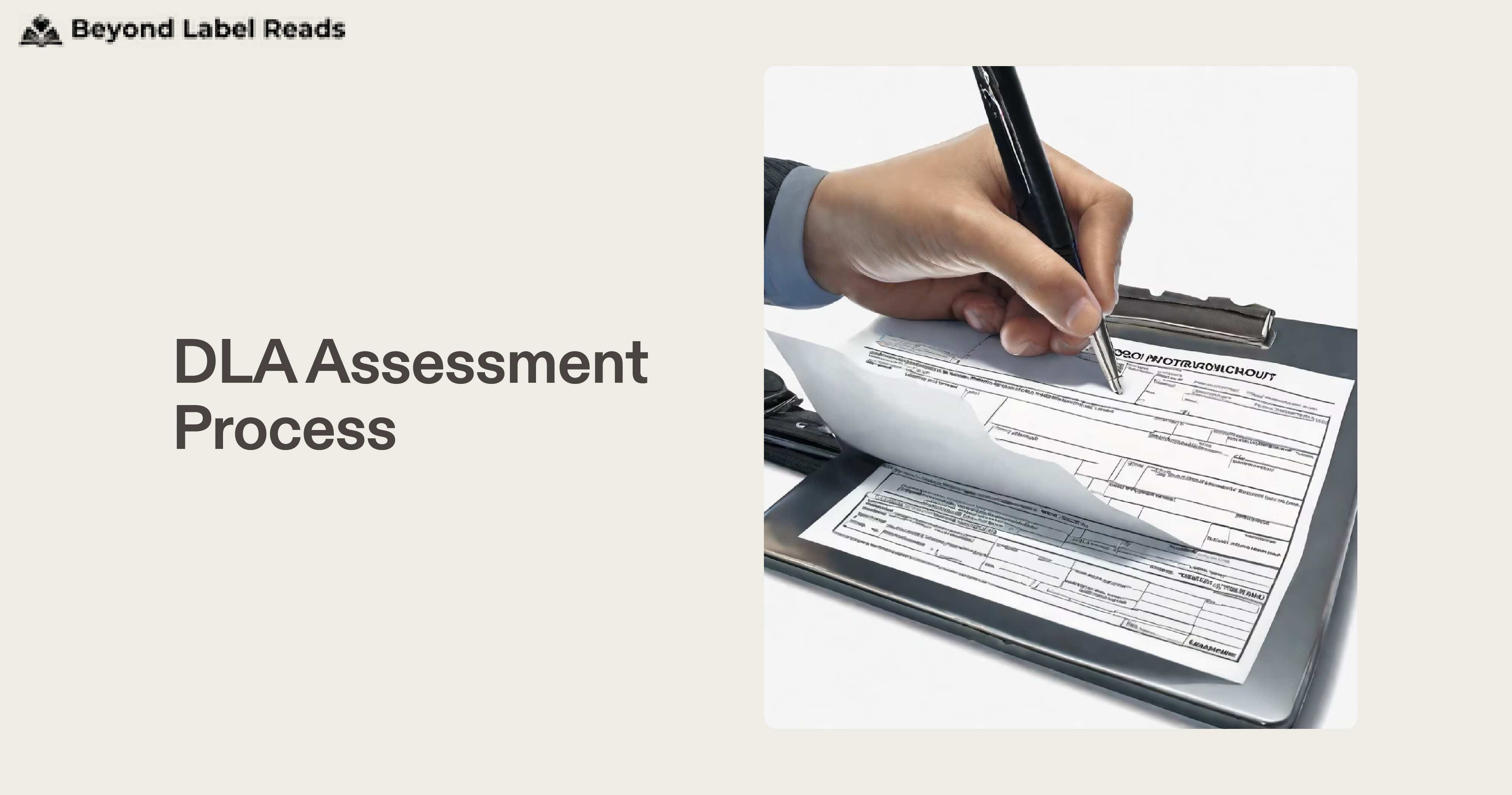 DLA Assessment Process
