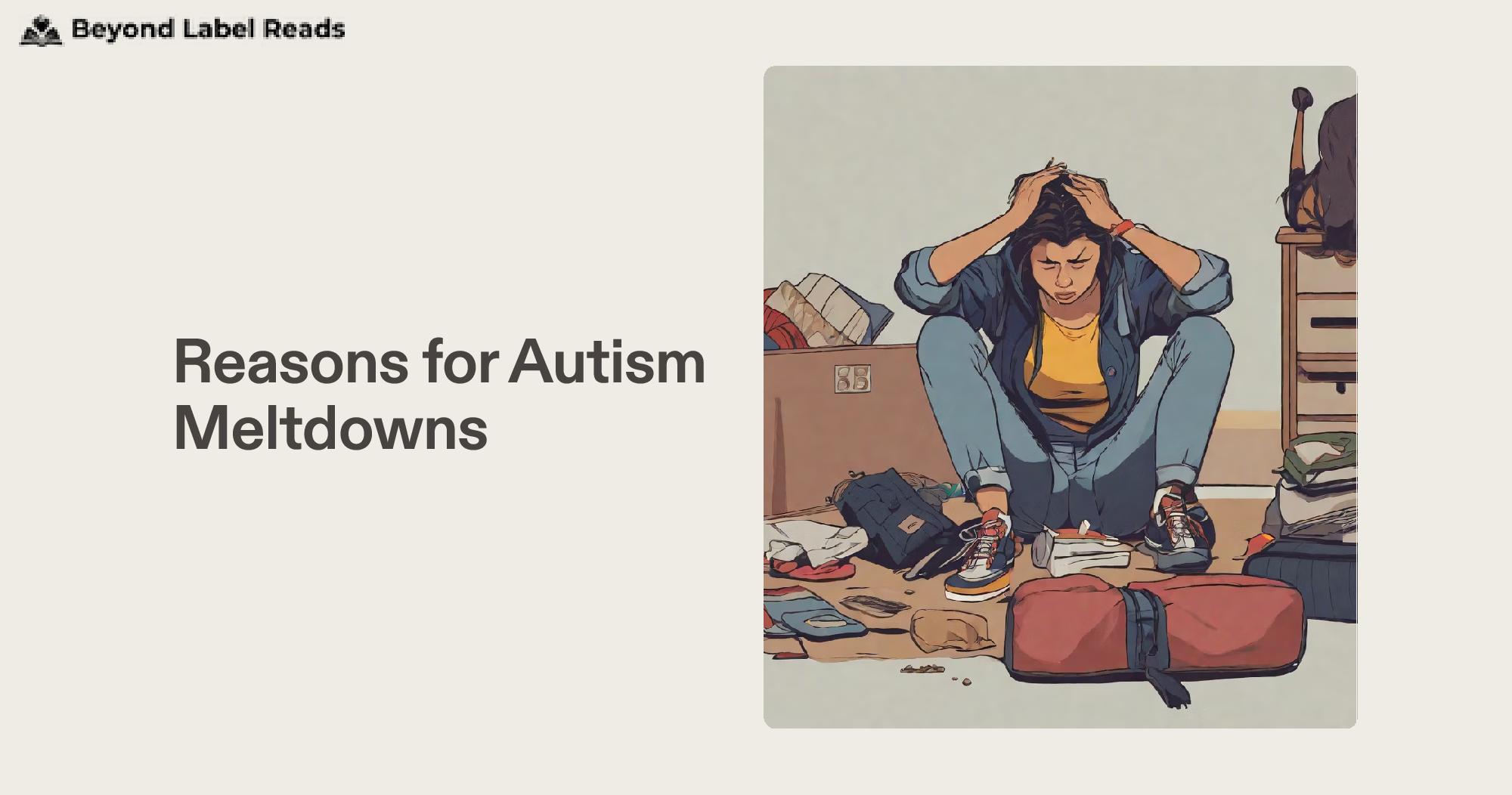 Reasons for Autism Meltdowns