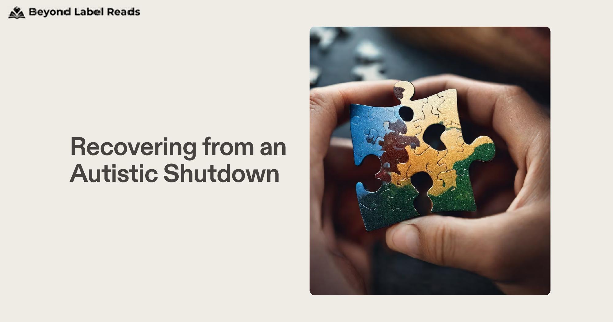 Recovering from an Autistic Shutdown