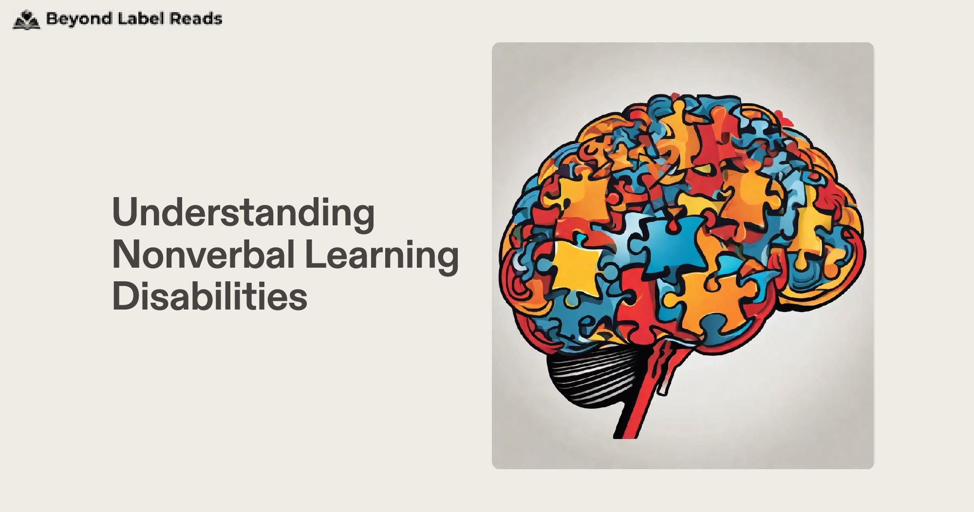 Understanding Nonverbal Learning Disabilities