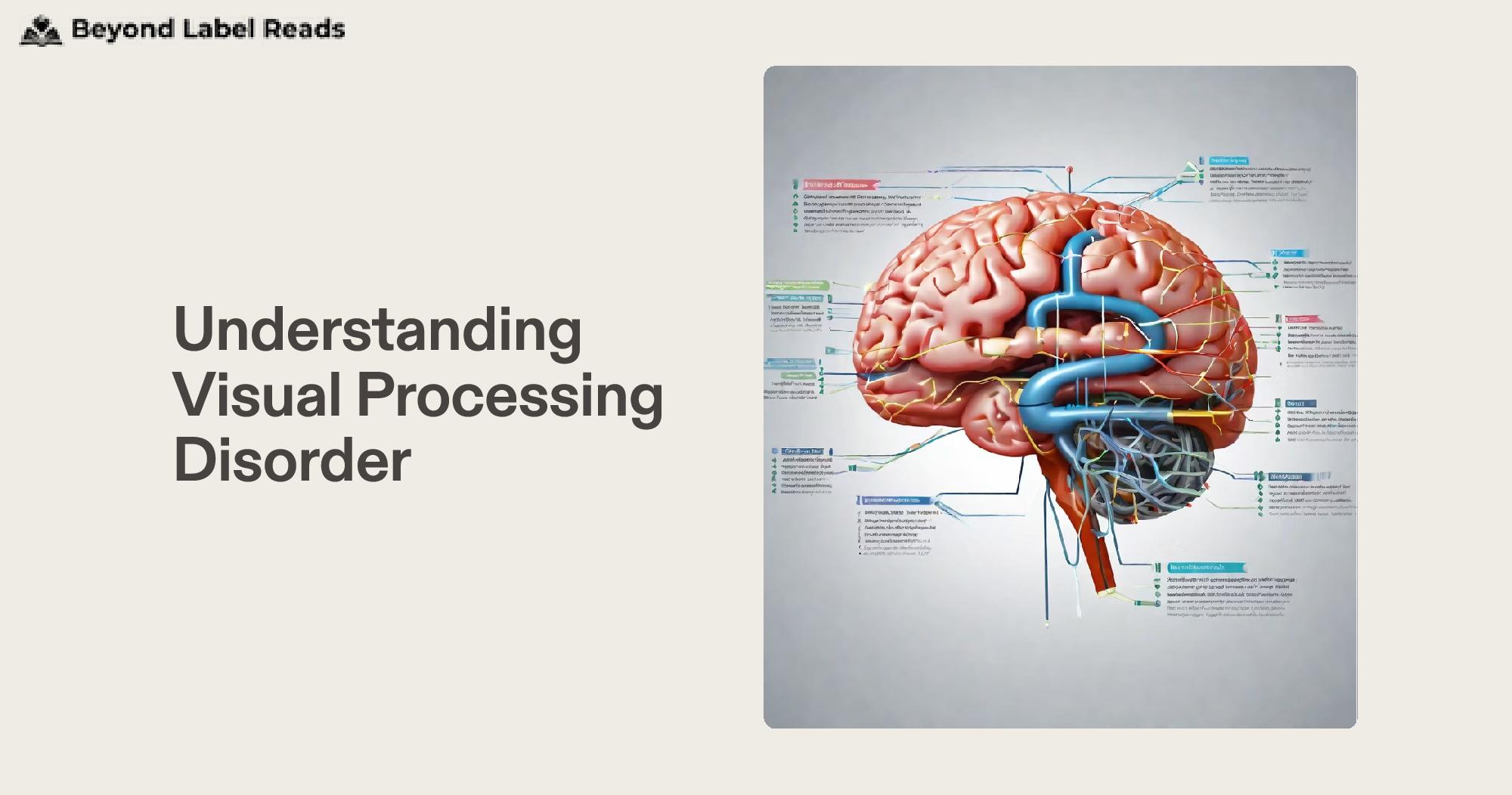 Understanding Visual Processing Disorder