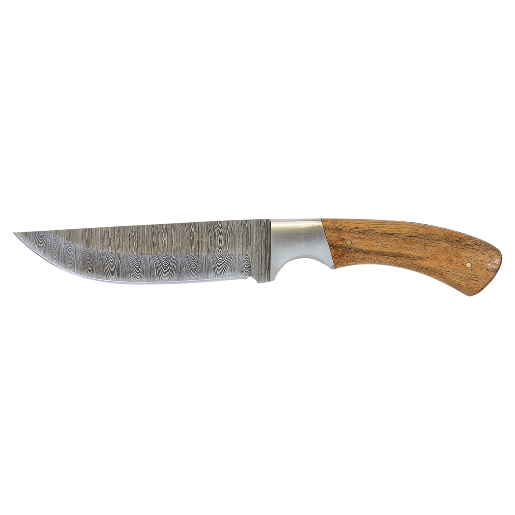 Damascus Steel Acacia Wood Bison River Knife 