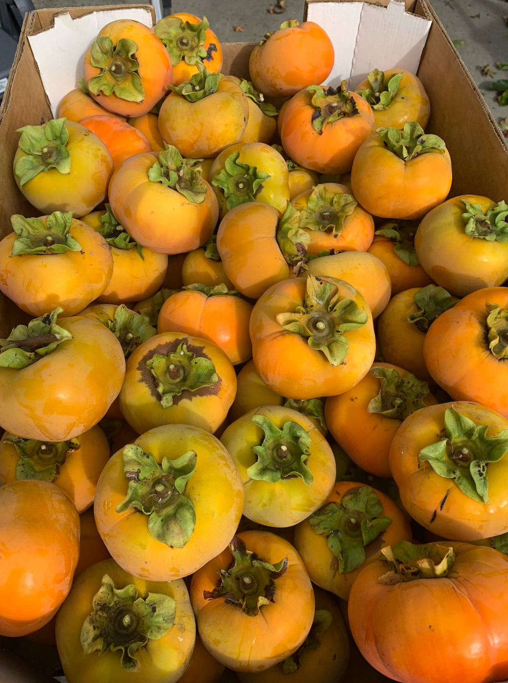 0.75 a piece (Fuyu Persimmon)
