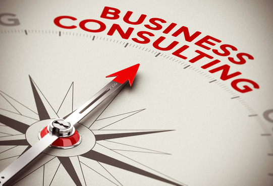 BUSINESS CONSULTING SUPPORT 