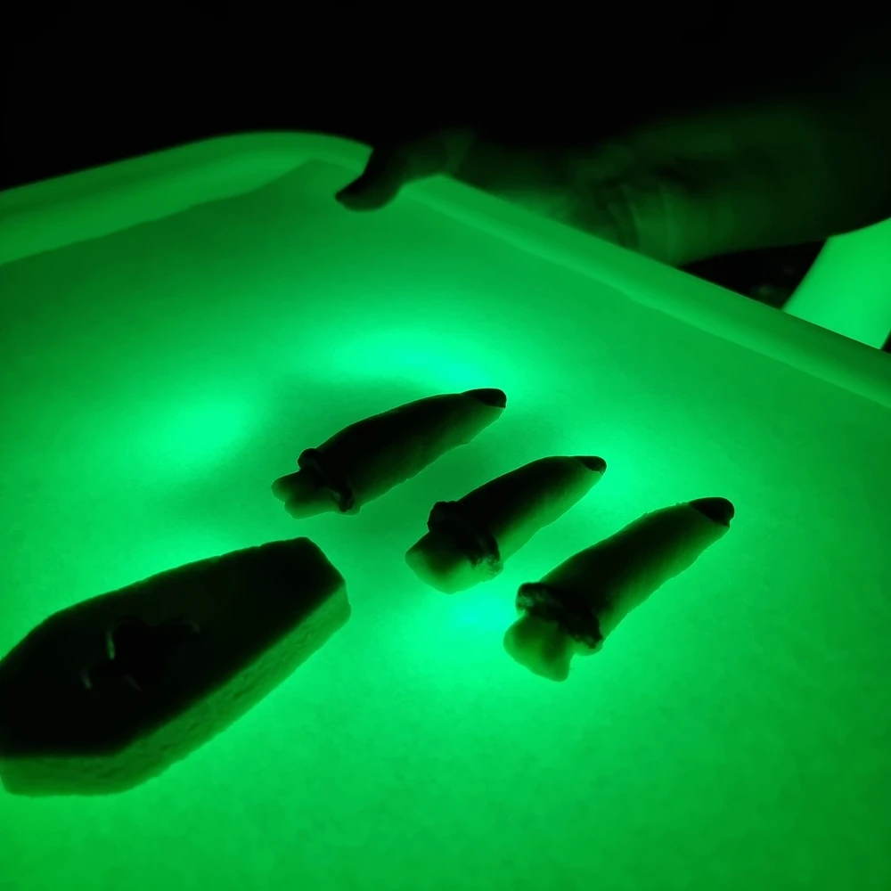Glow Serving Tray Hire
