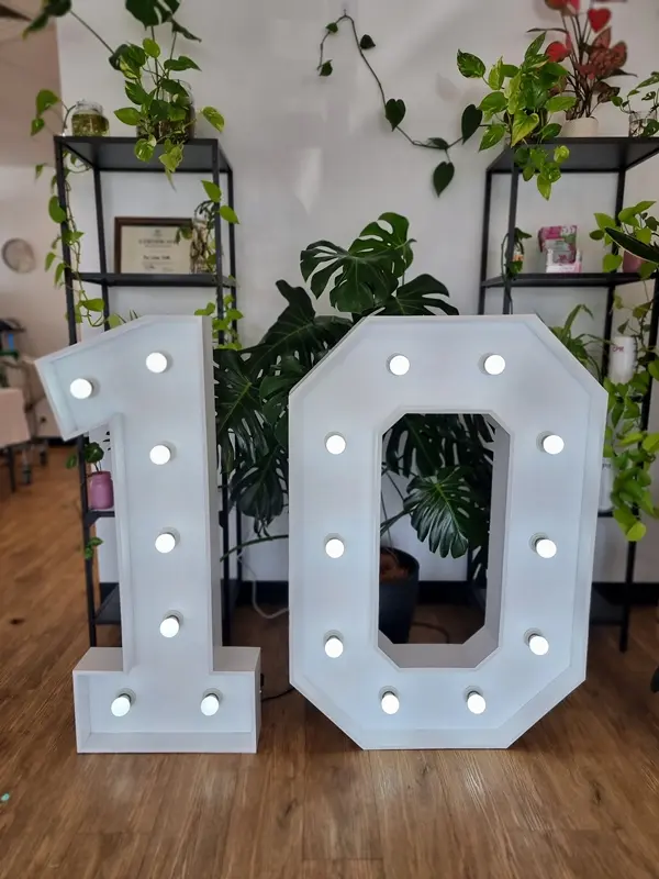 Light Up Number Hire (0-9)