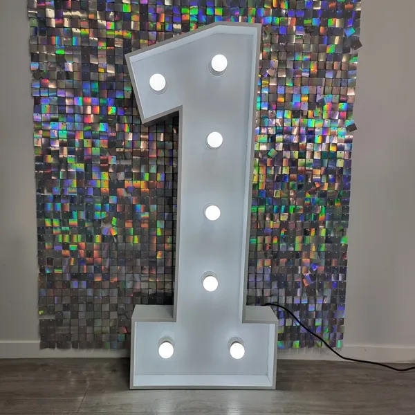 Light Up Number Hire (0-9)