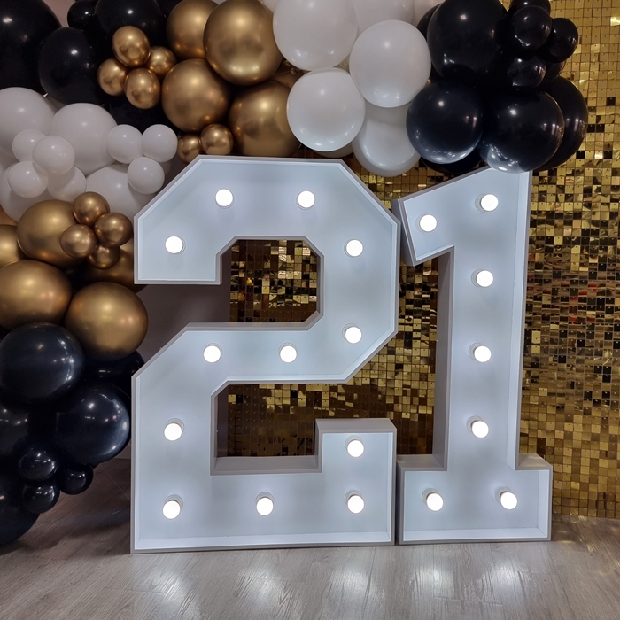 Light Up Number Hire (0-9)