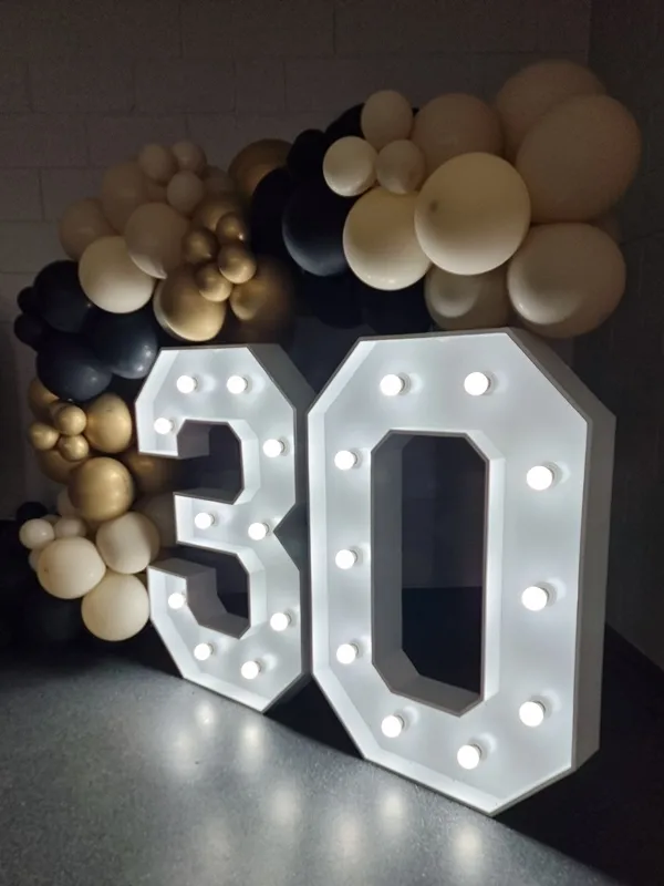 Light Up Number Hire (0-9)