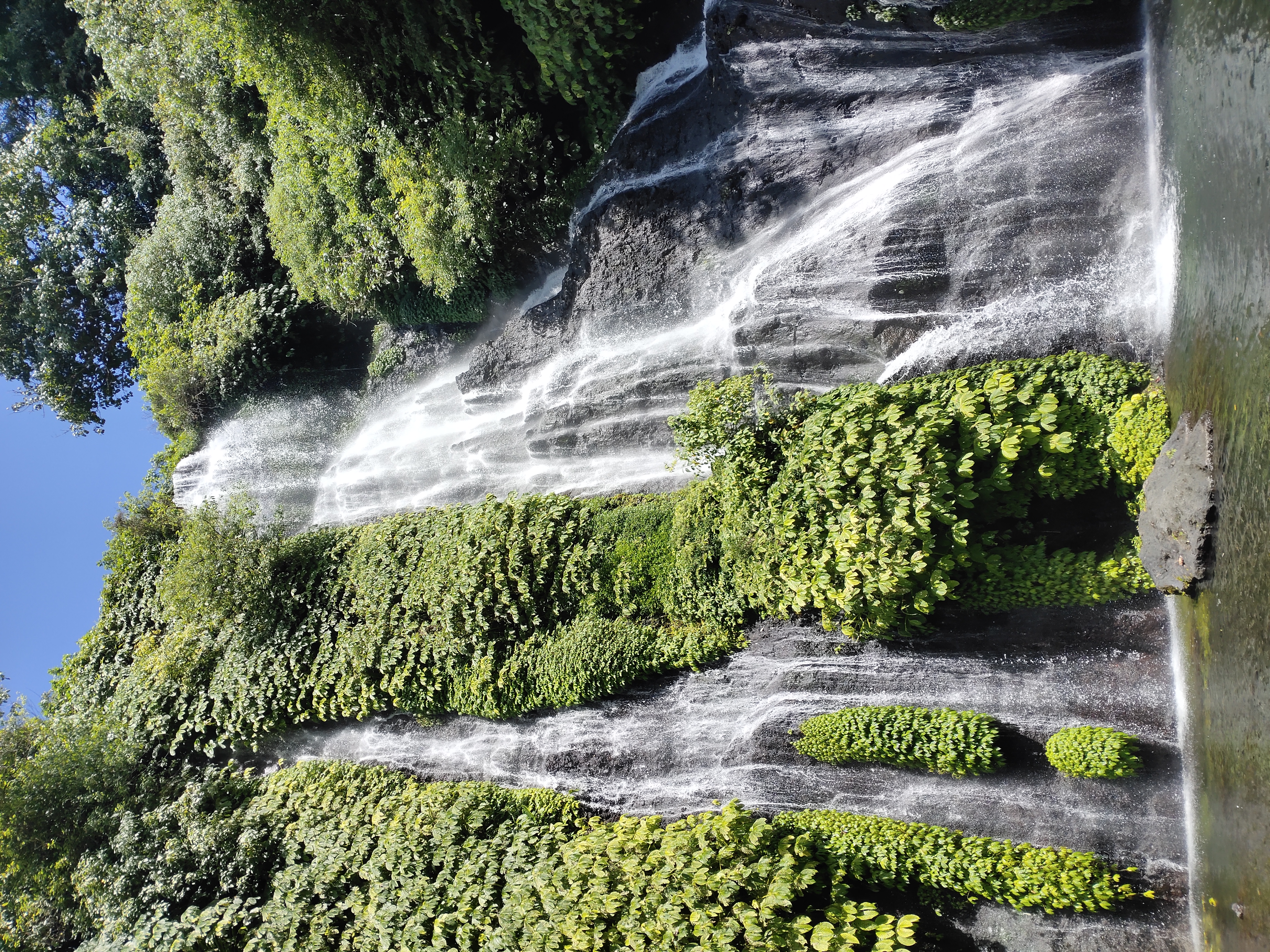 North Bali Tour