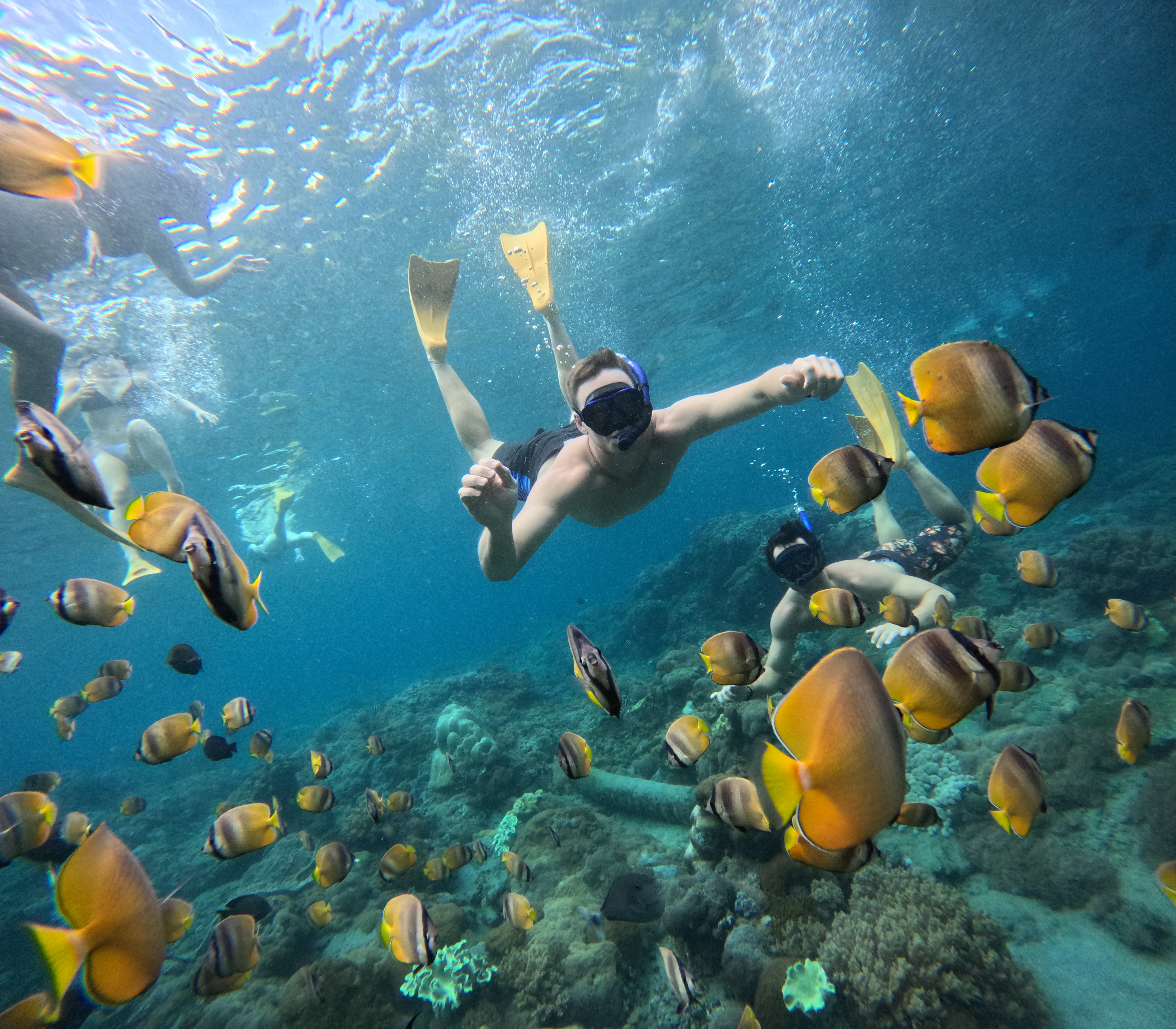 Blue Lagoon Snorkling