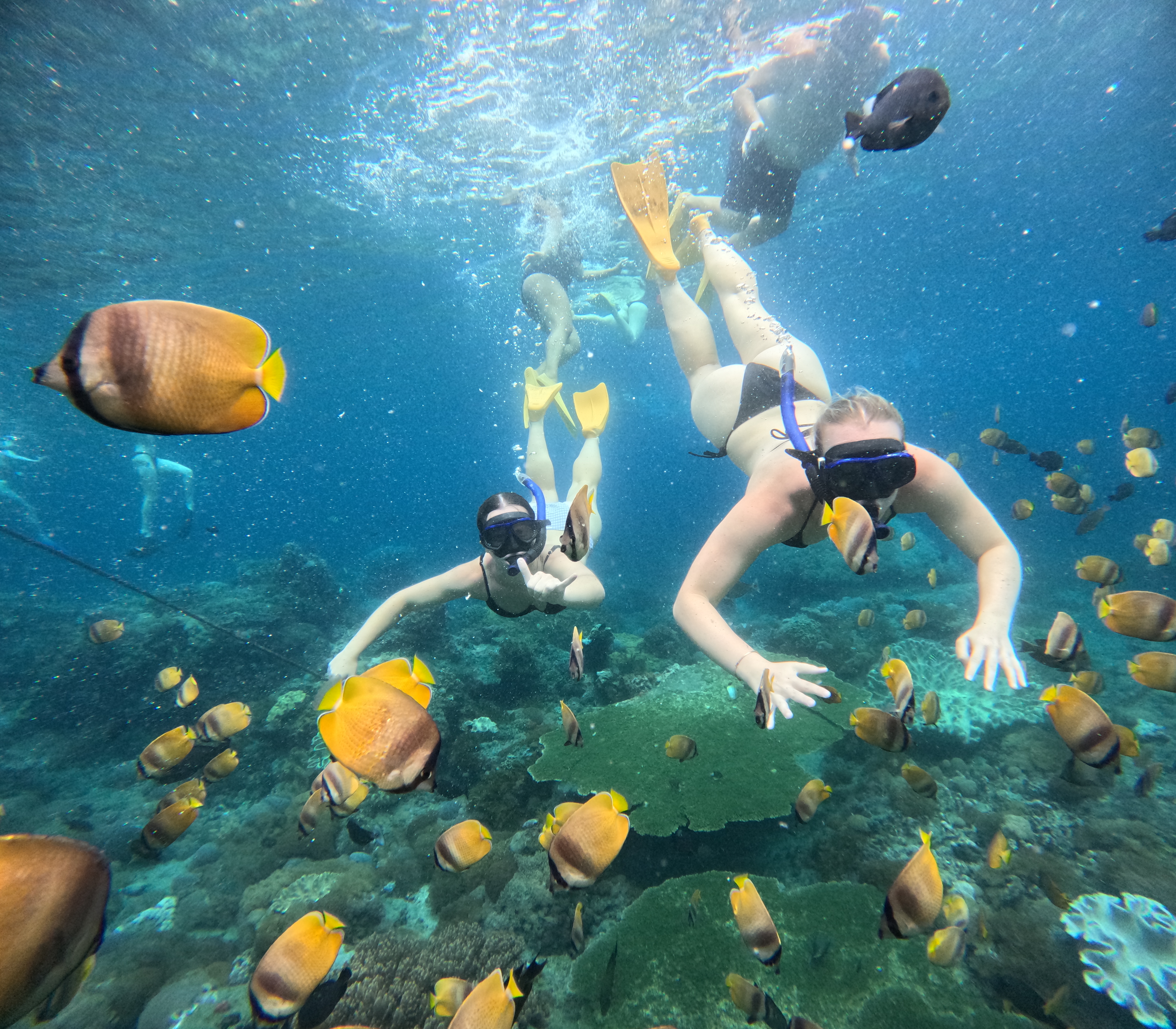 Blue Lagoon Snorkling