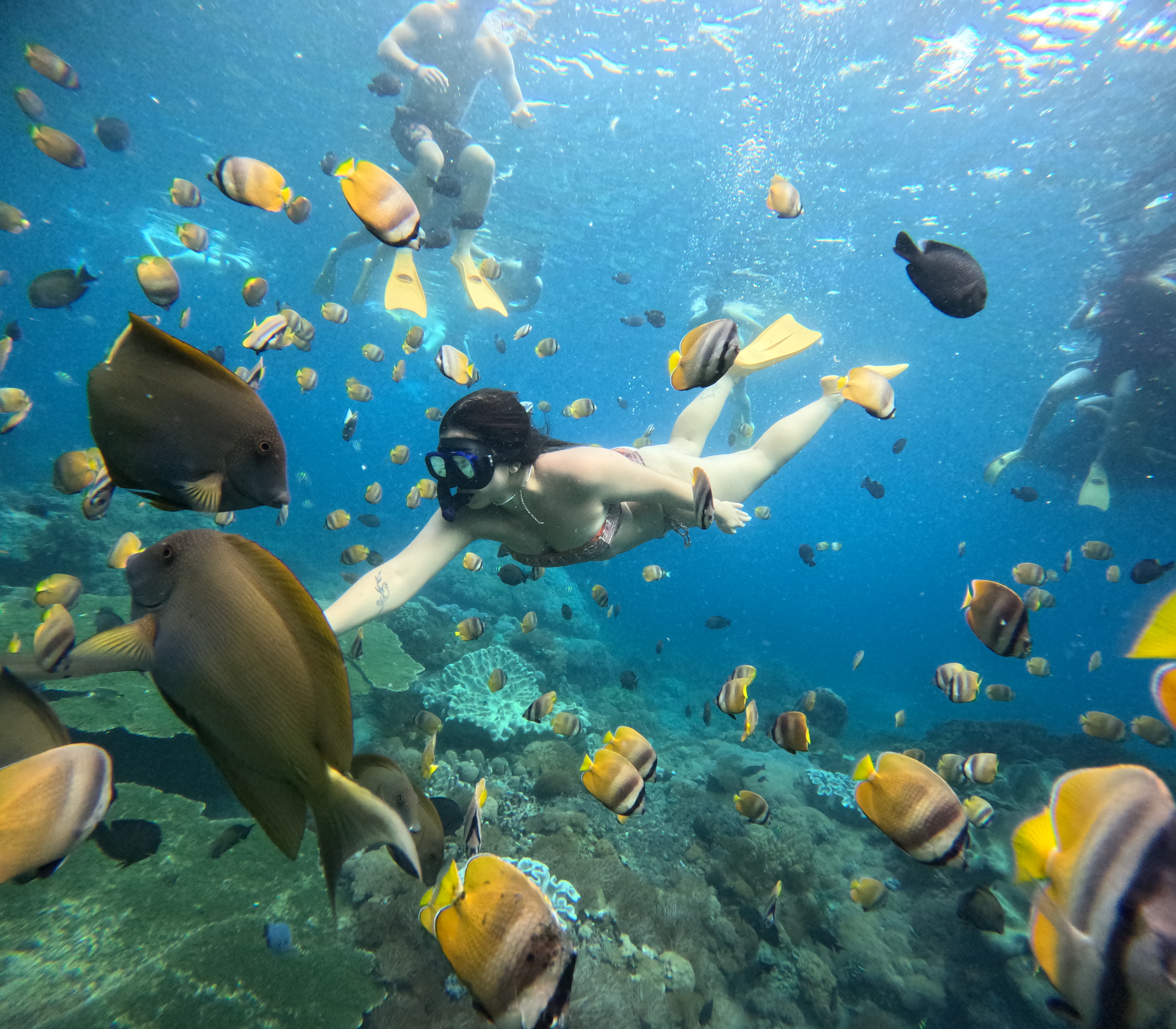 Blue Lagoon Snorkling