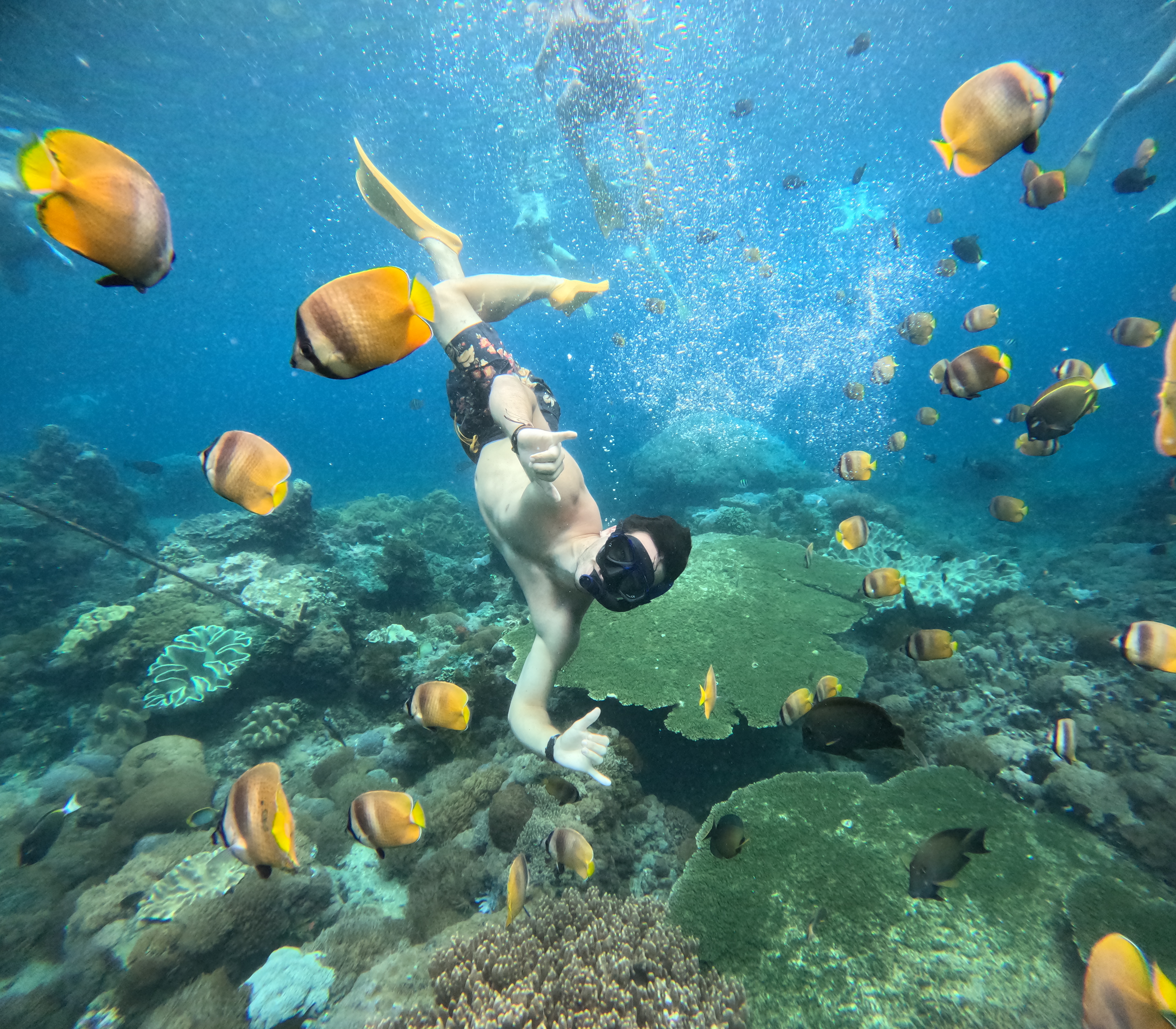 Blue Lagoon Snorkling