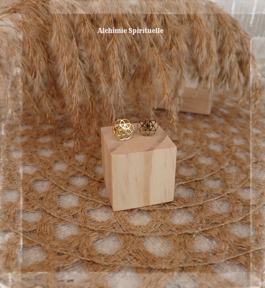 Boucles d'oreilles Graine de vie