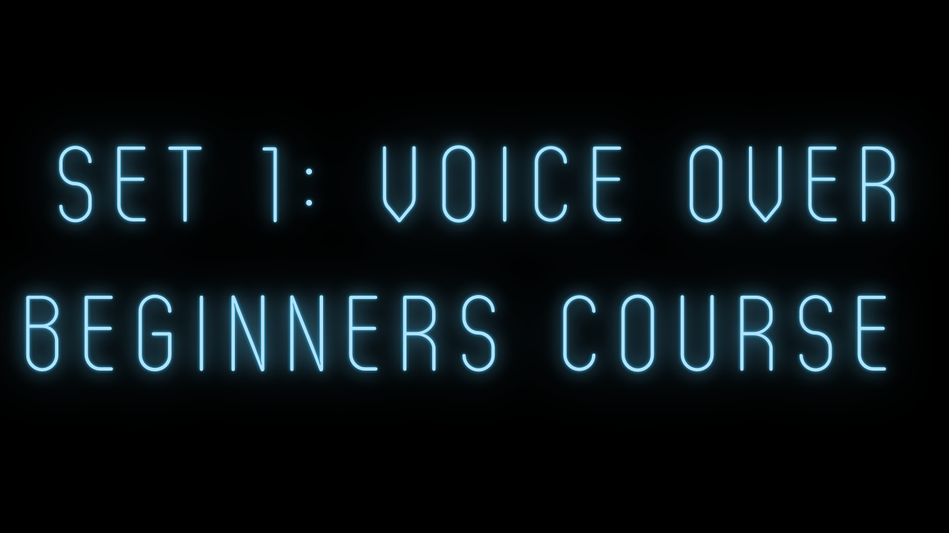 Set 1: Voice over beginners course - Day Intensive