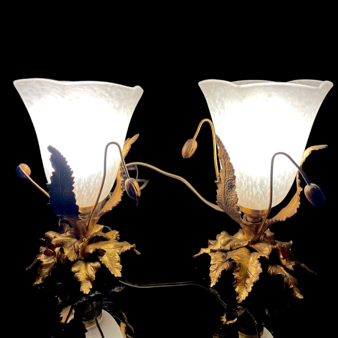 Paire de lampes veilleuses Schneider