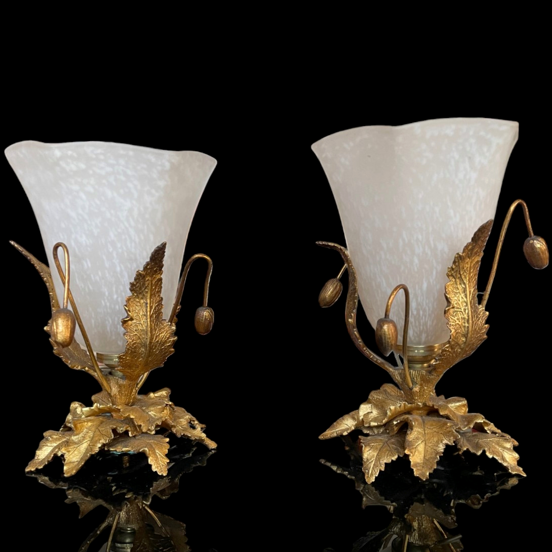 Paire de lampes veilleuses Schneider