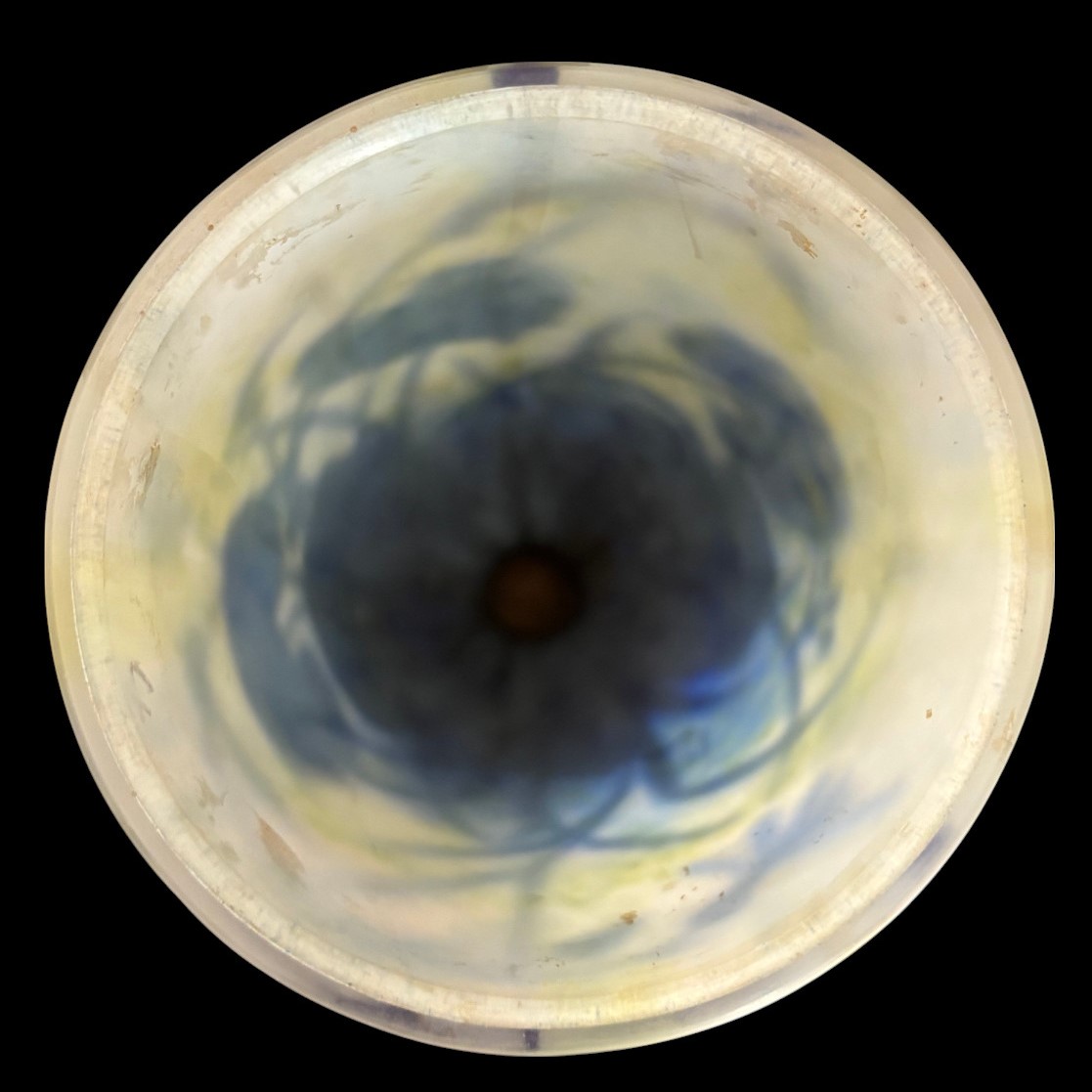 Vase aux cinéraires de Daum