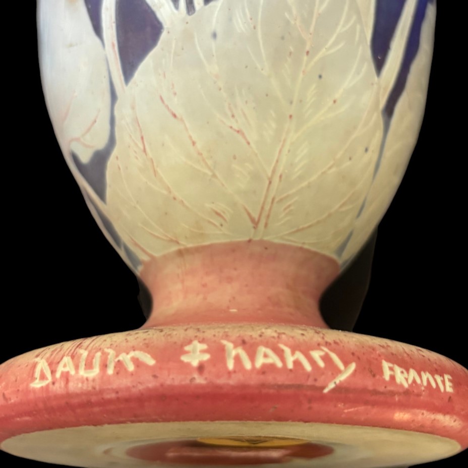 Vase aux cinéraires de Daum