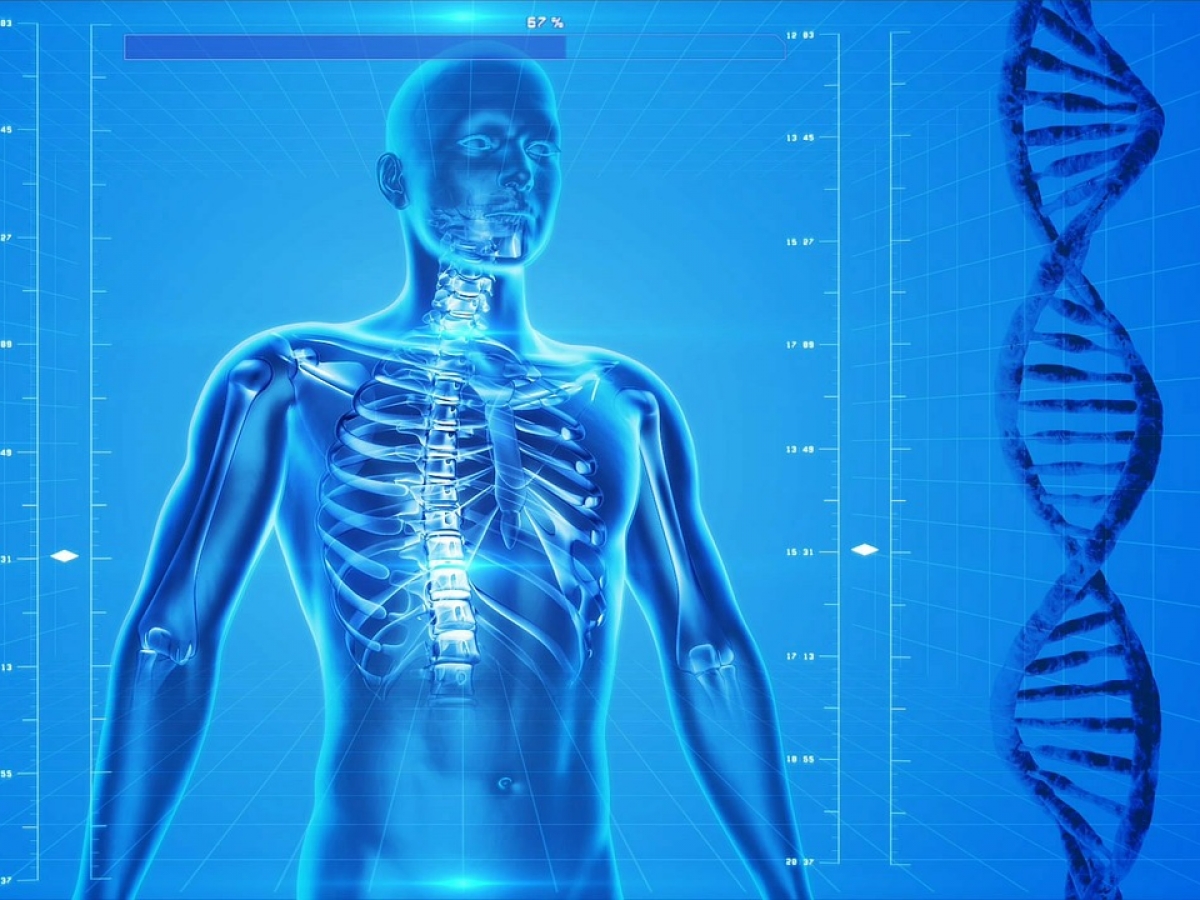 Paiement en ligne d'une séance - Merci de prendre rendez-vous avant