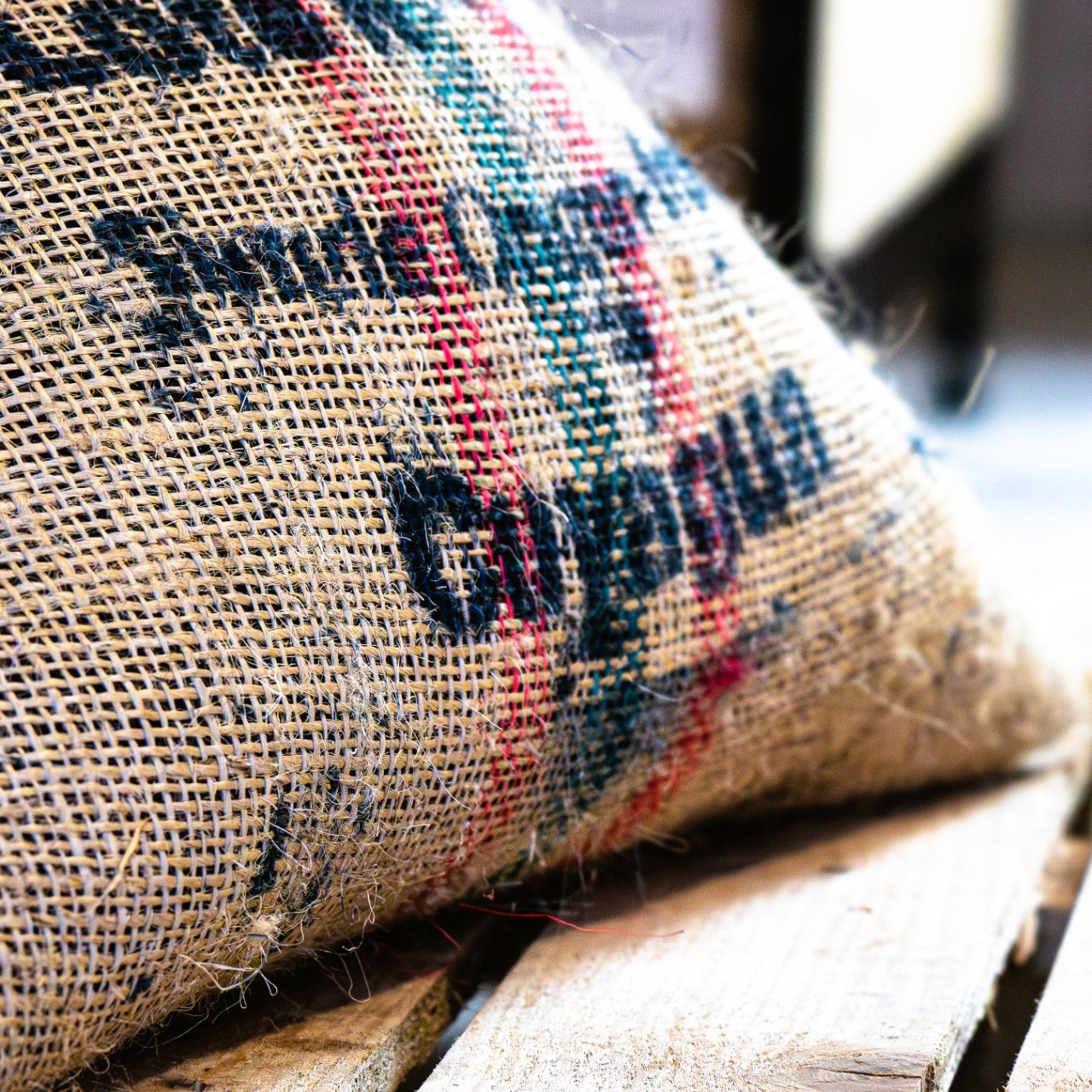Cocoa Beans Cuyagua