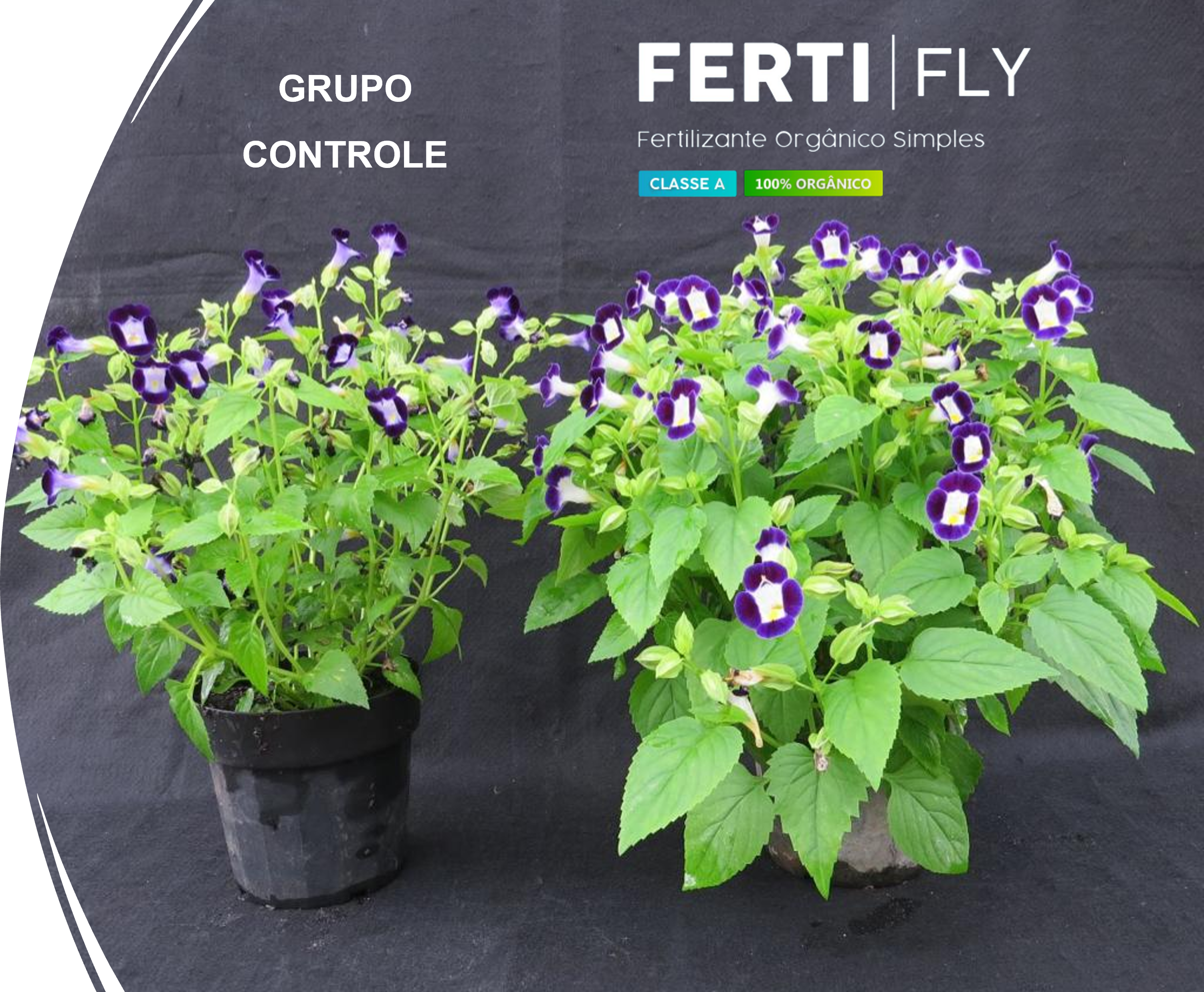 Fertilizante Ferti Fly 500g (10 unidades)