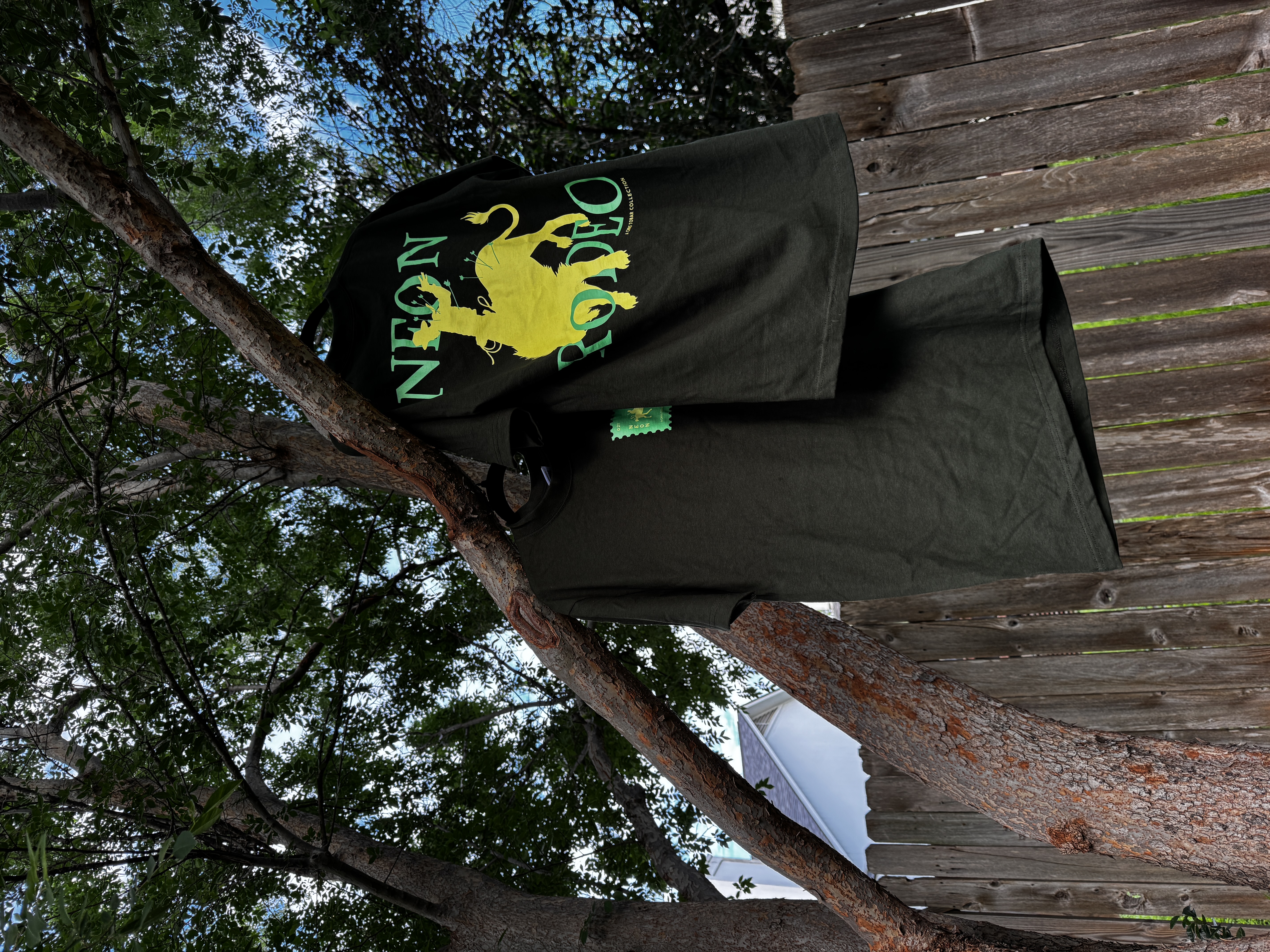 Neon Rodeo.001 — The Lion Wrangler