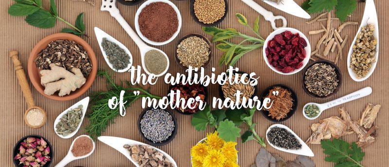 Mix Oil Pets Líquido