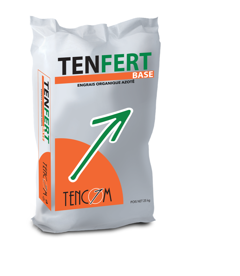 Tenfert Base