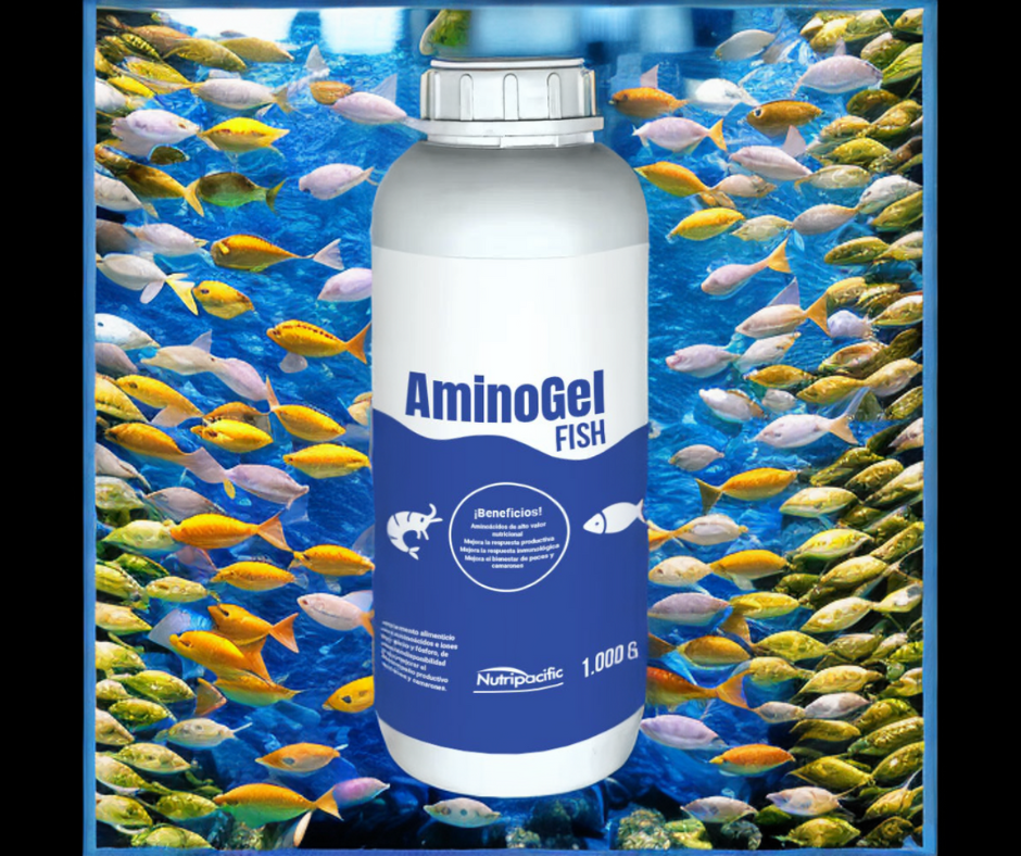 AminoGel Fish