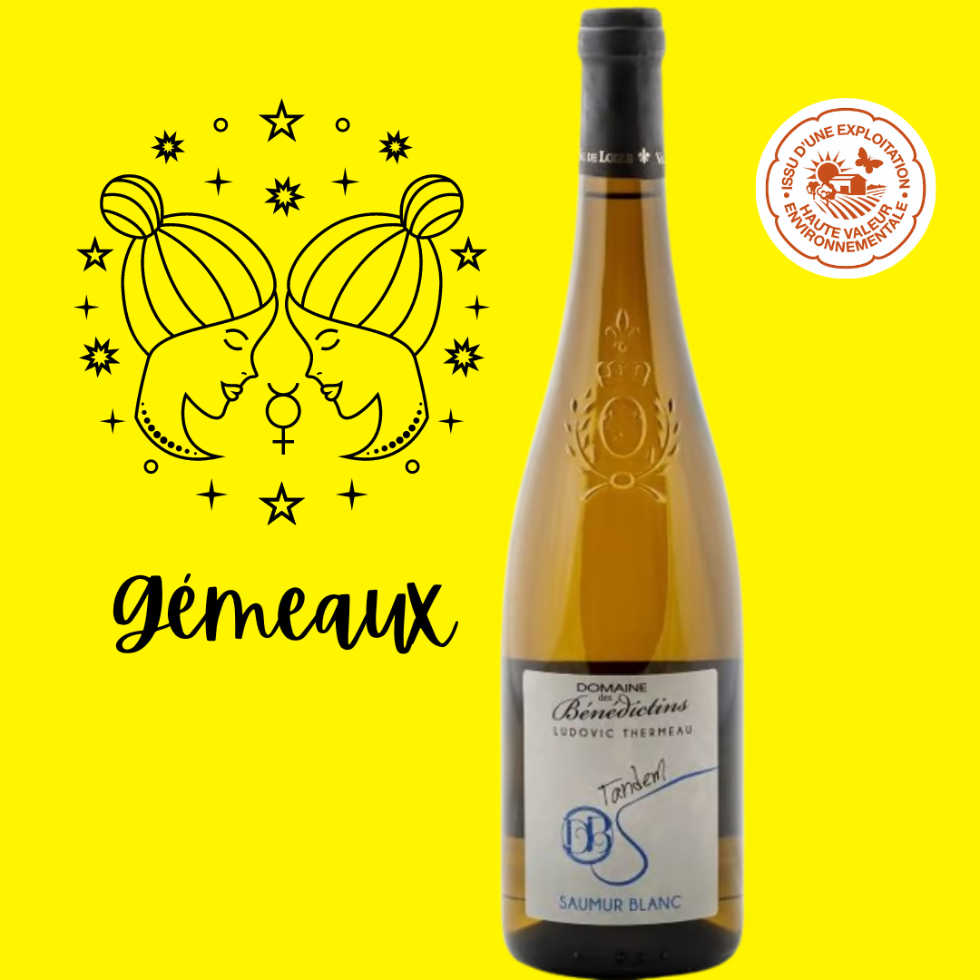 Coffret Vin Blanc - Gémeaux