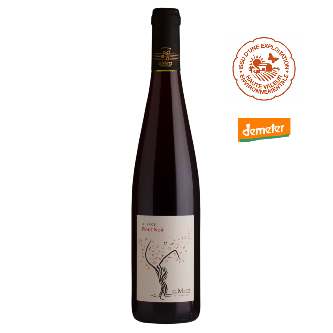 Domaine G.Metz, Pinot noir