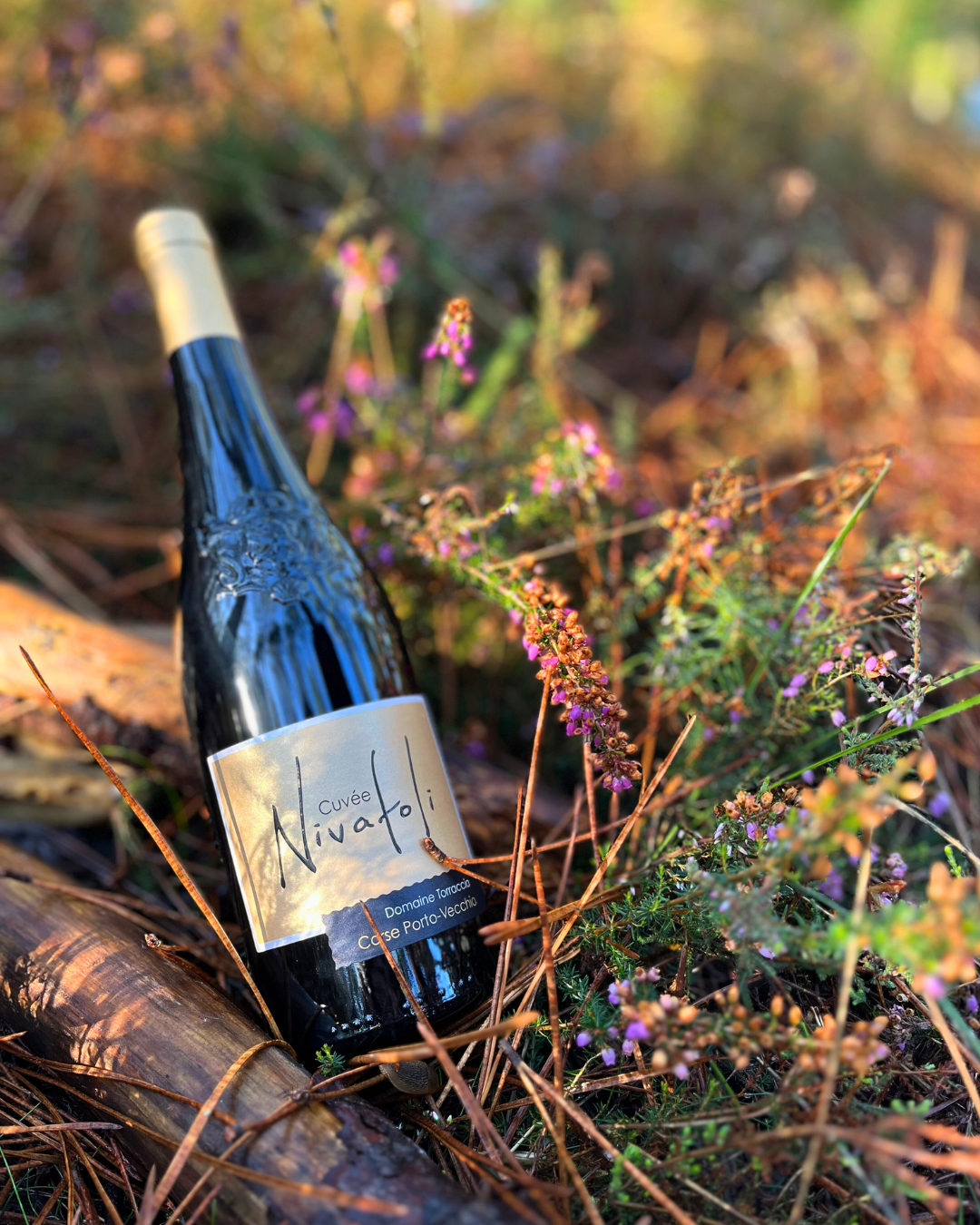 Domaine Torraccia, Cuvée Nivatoli