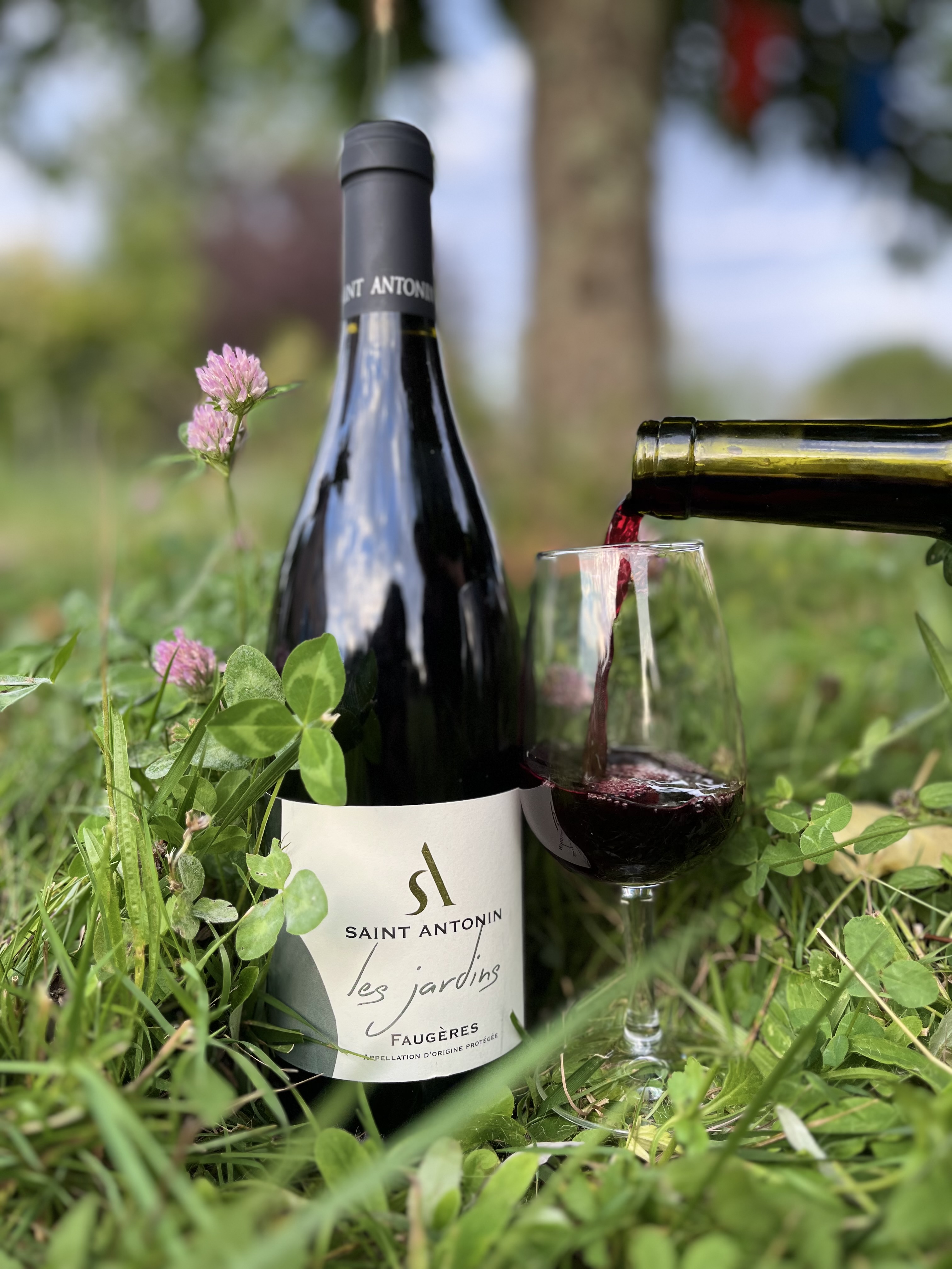 Domaine Saint-Antonin, Les Jardins